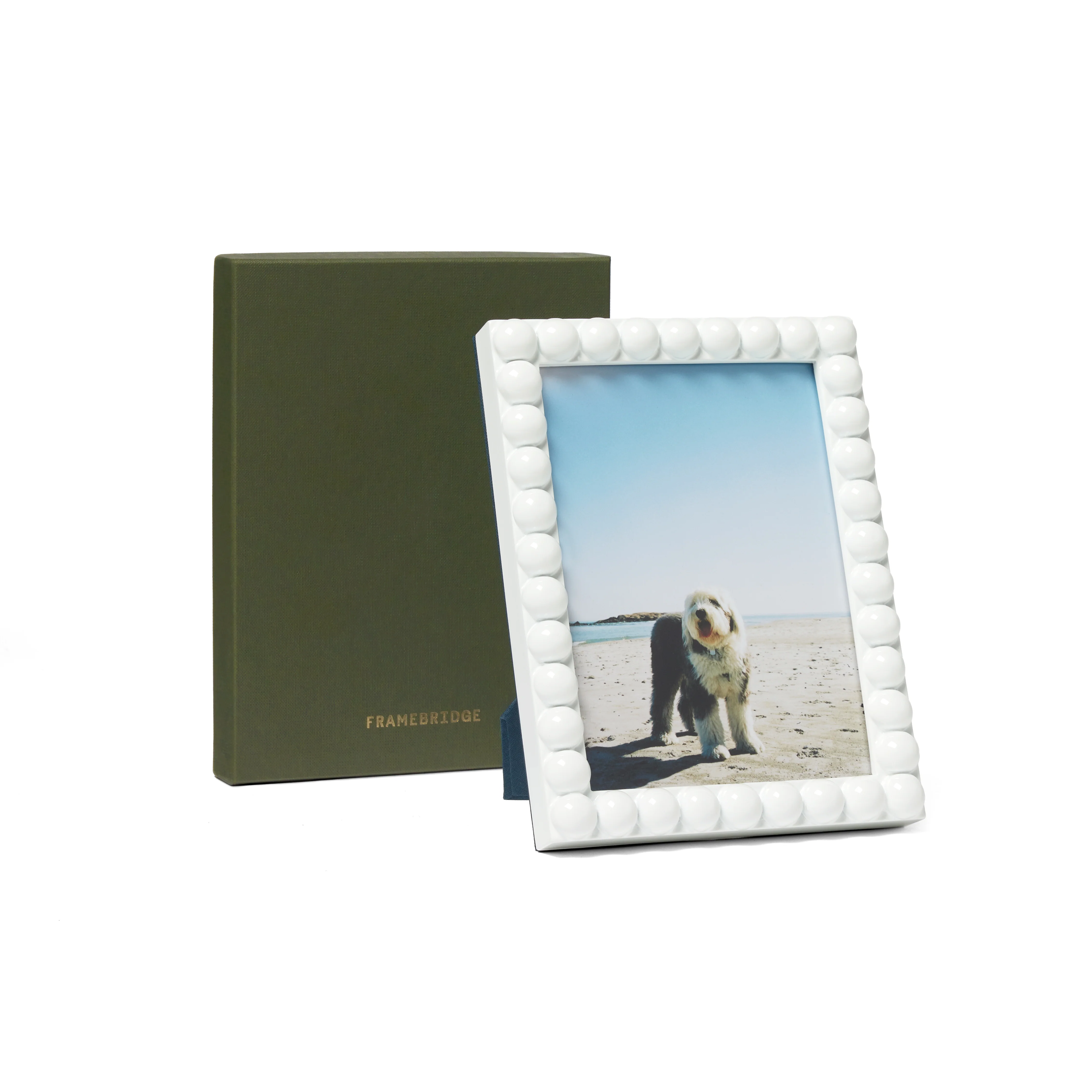 Bobbin Frame White: 6x8