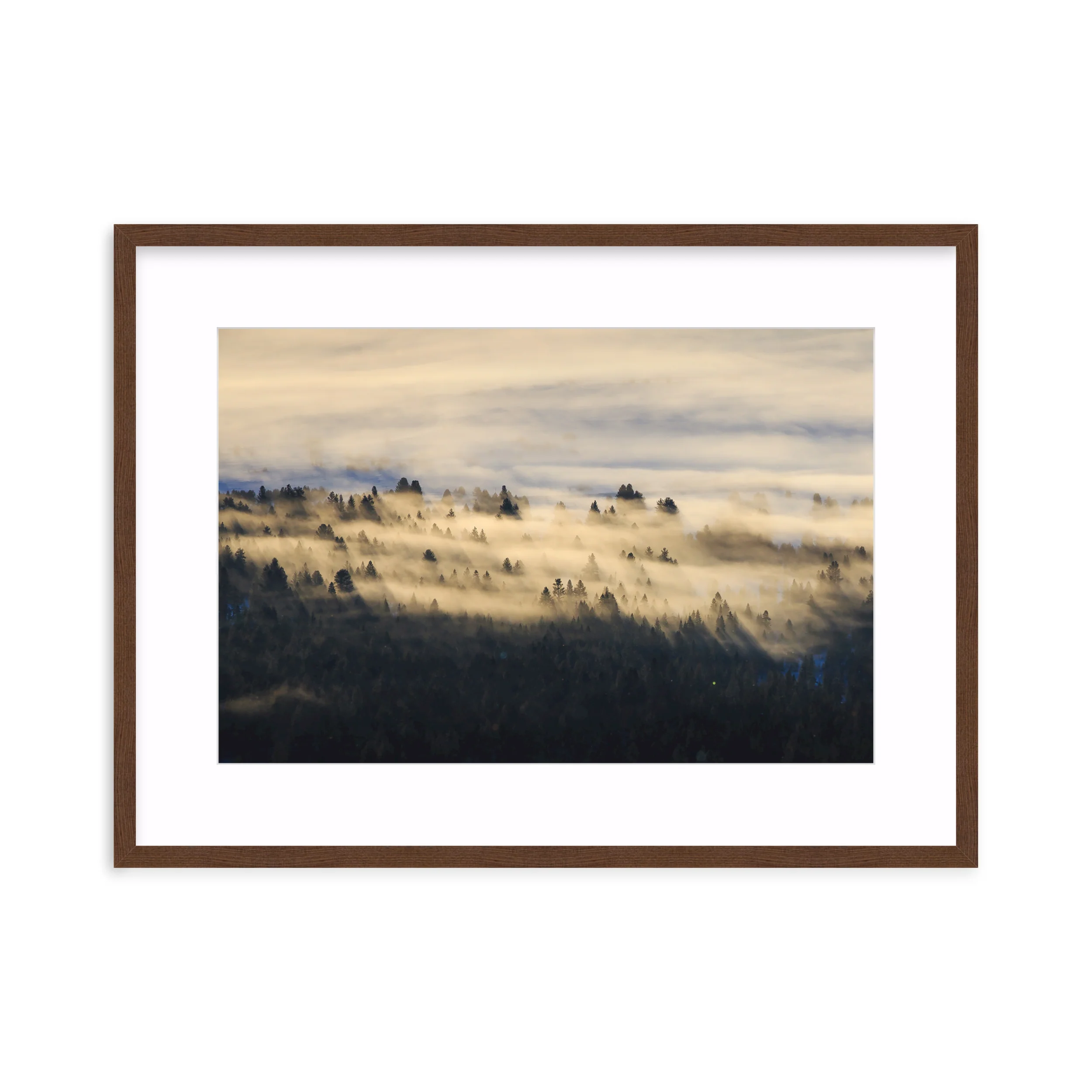 Foggy Valley - Image 4