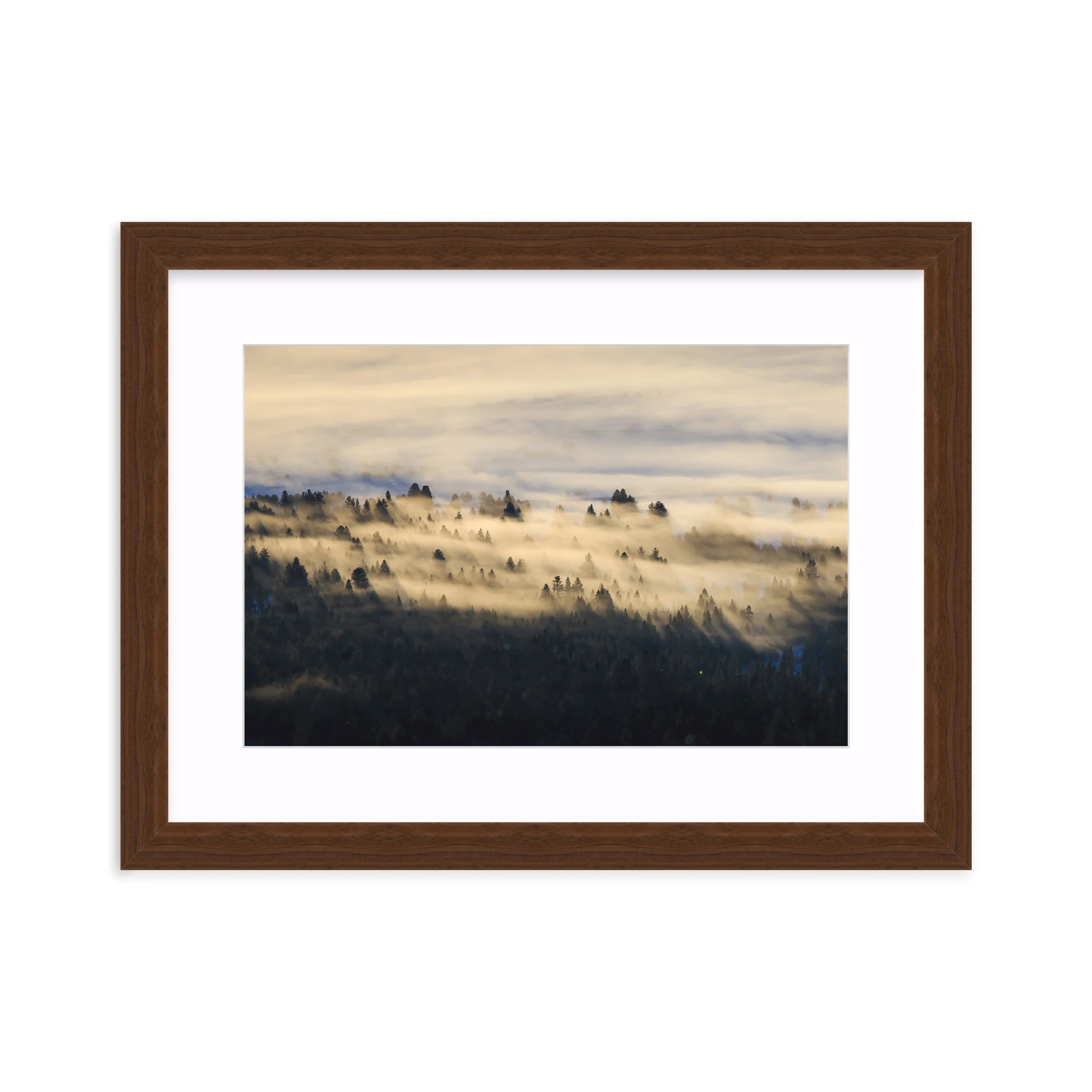 Foggy Valley - Image 9