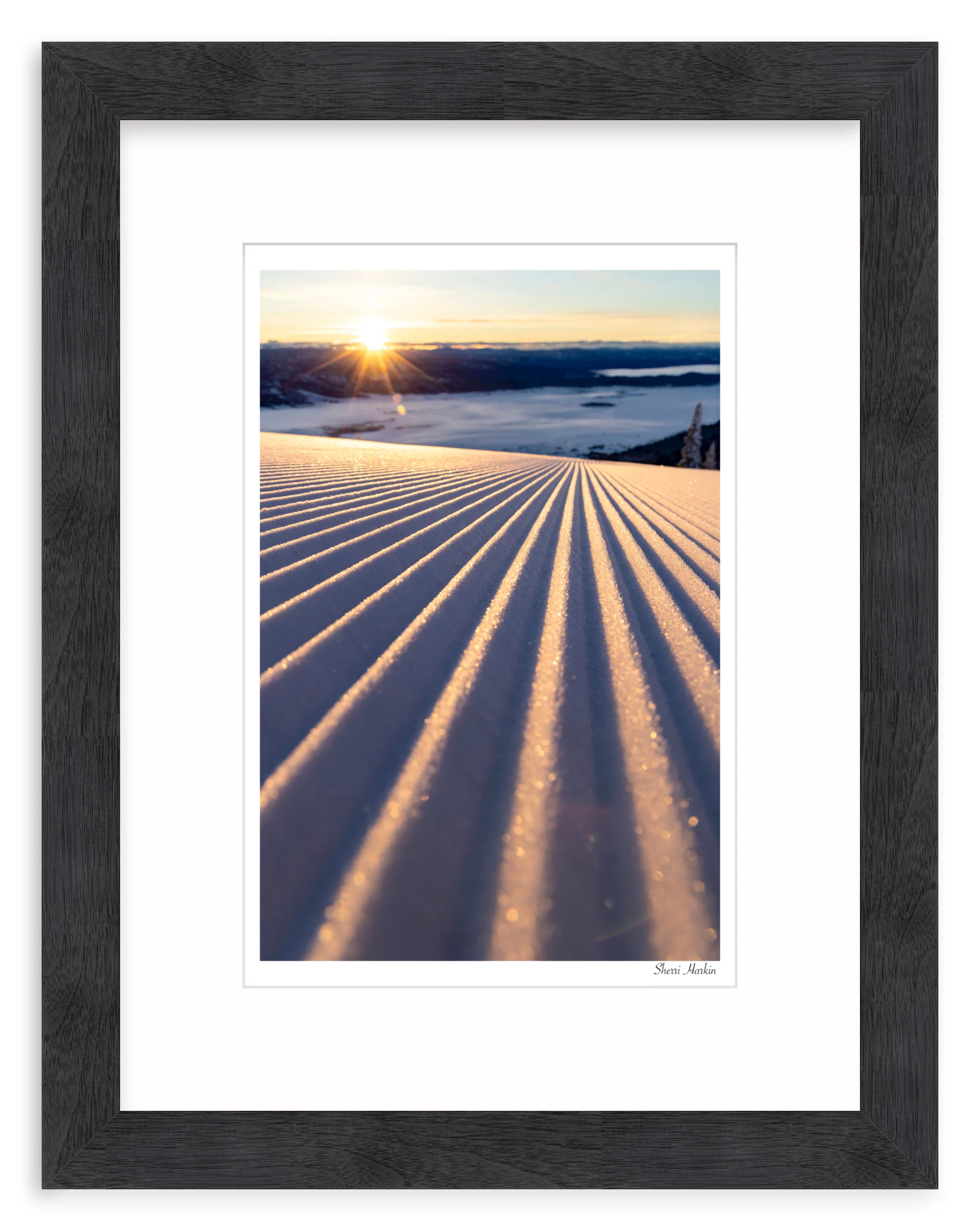 Groomers - Image 13