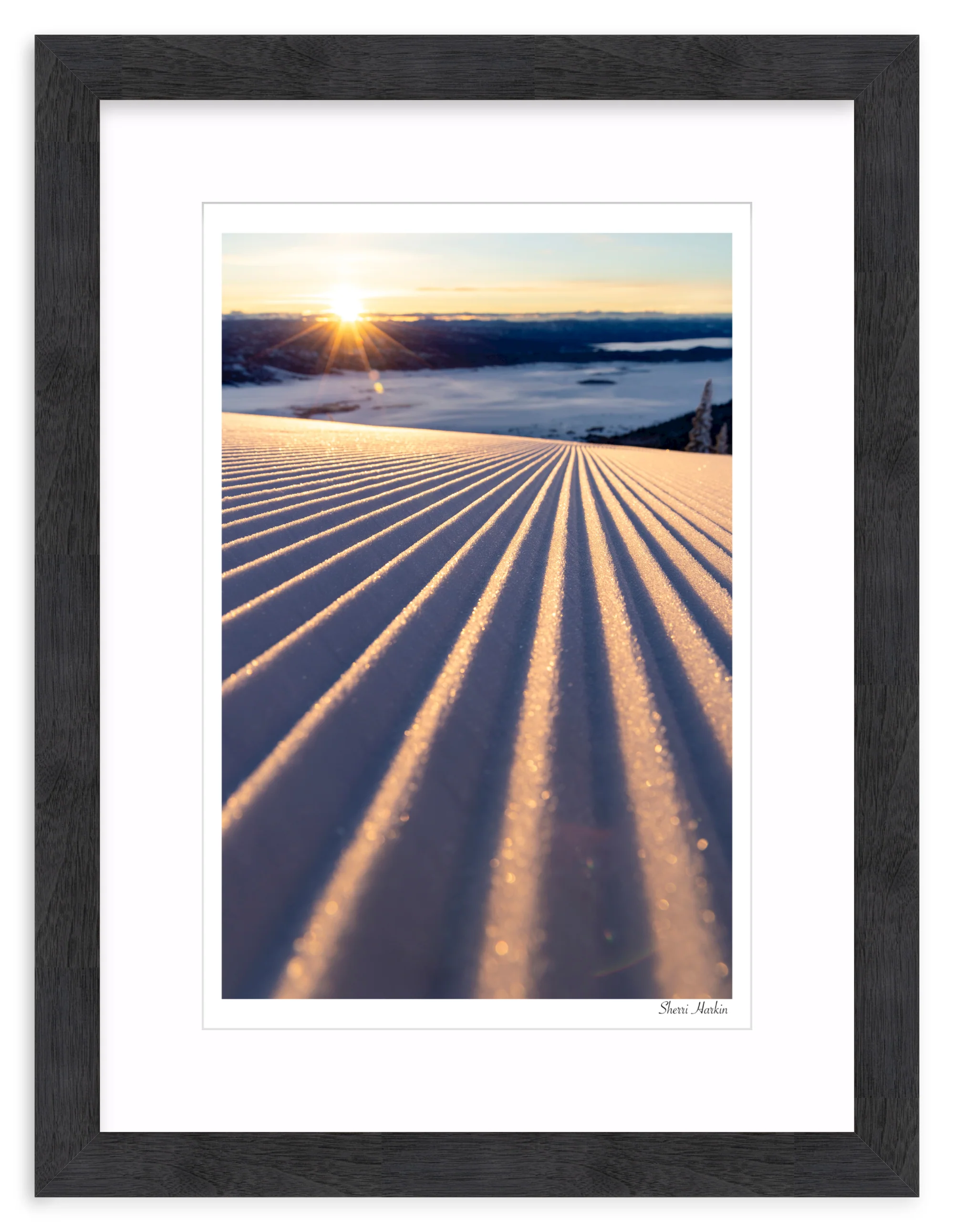 Groomers - Image 14