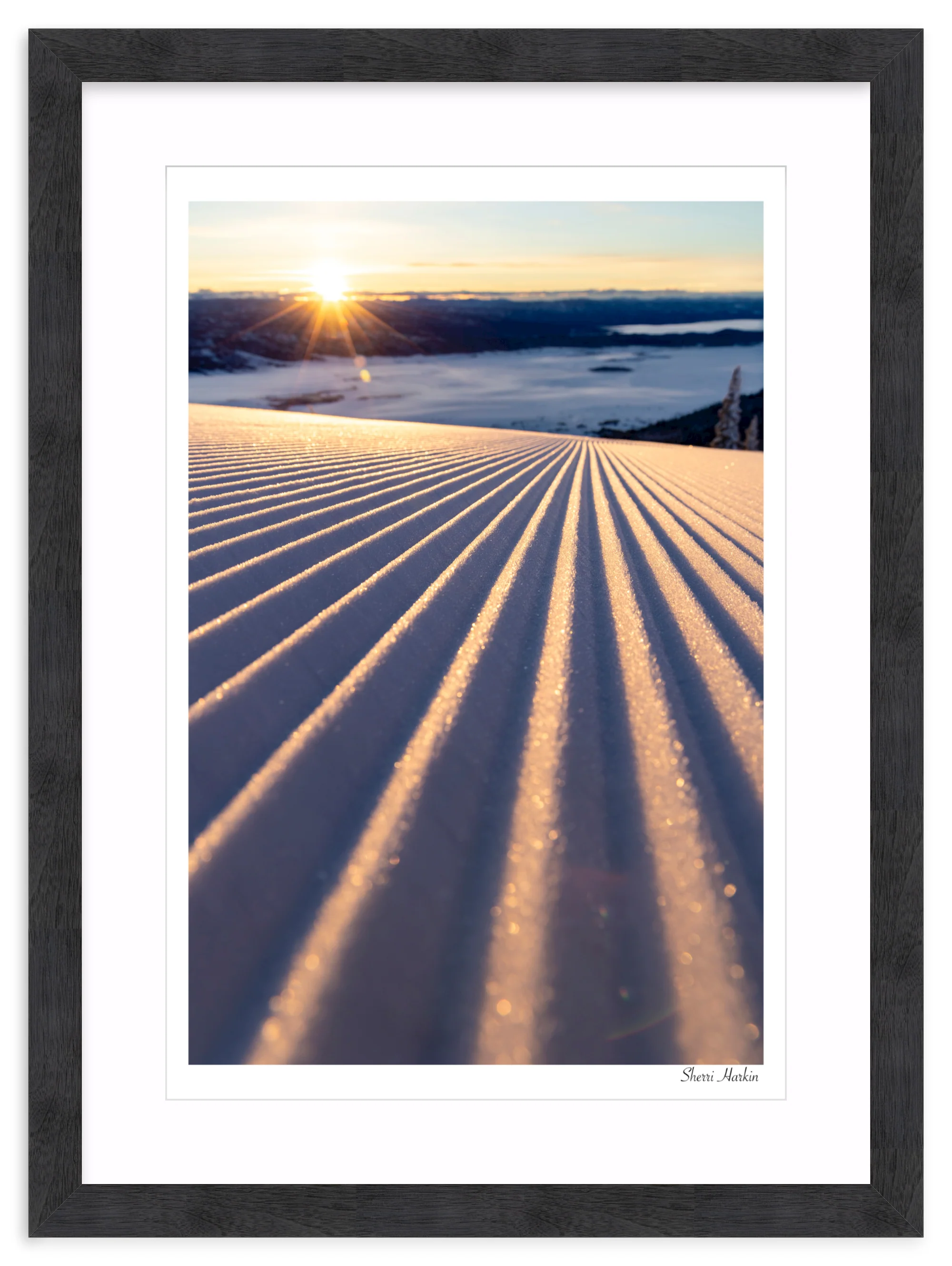 Groomers - Image 15
