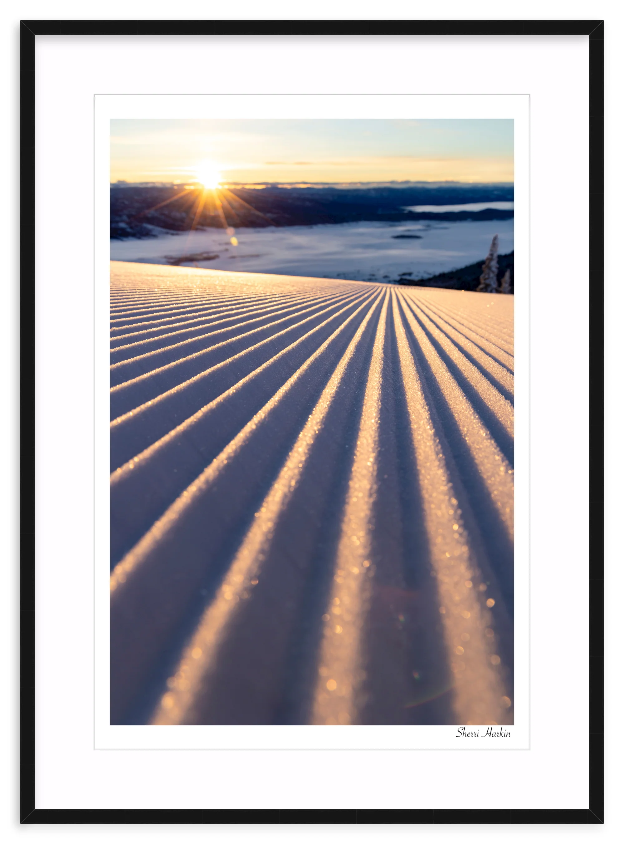 Groomers - Image 3