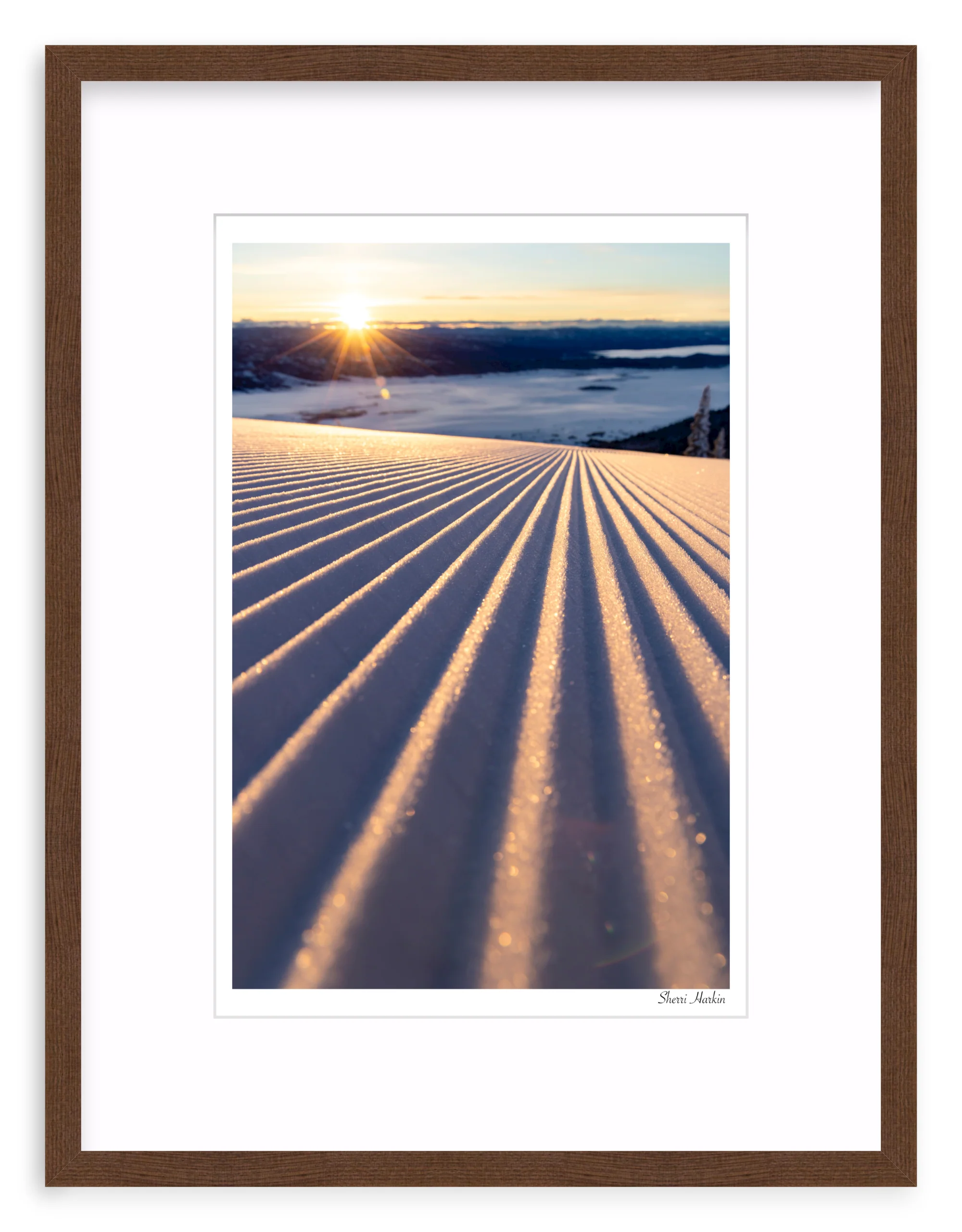 Groomers - Image 4