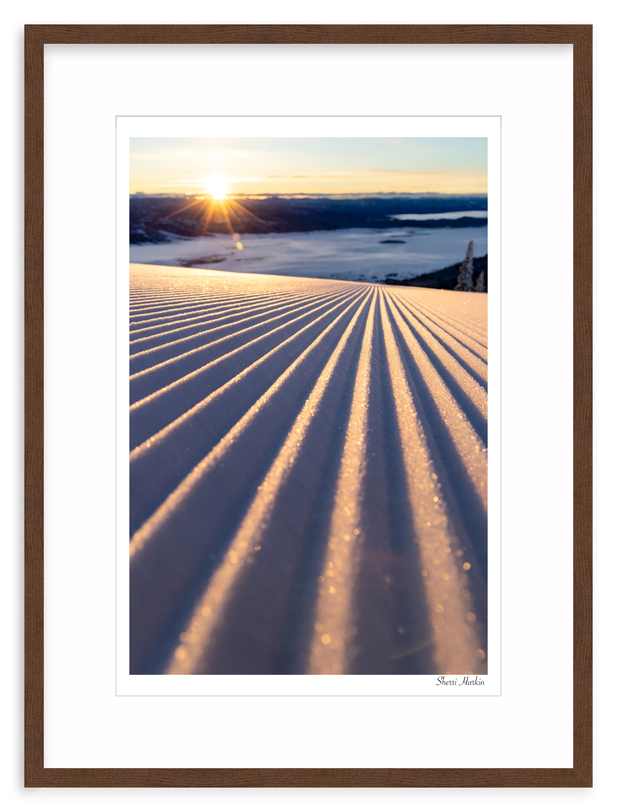 Groomers - Image 5
