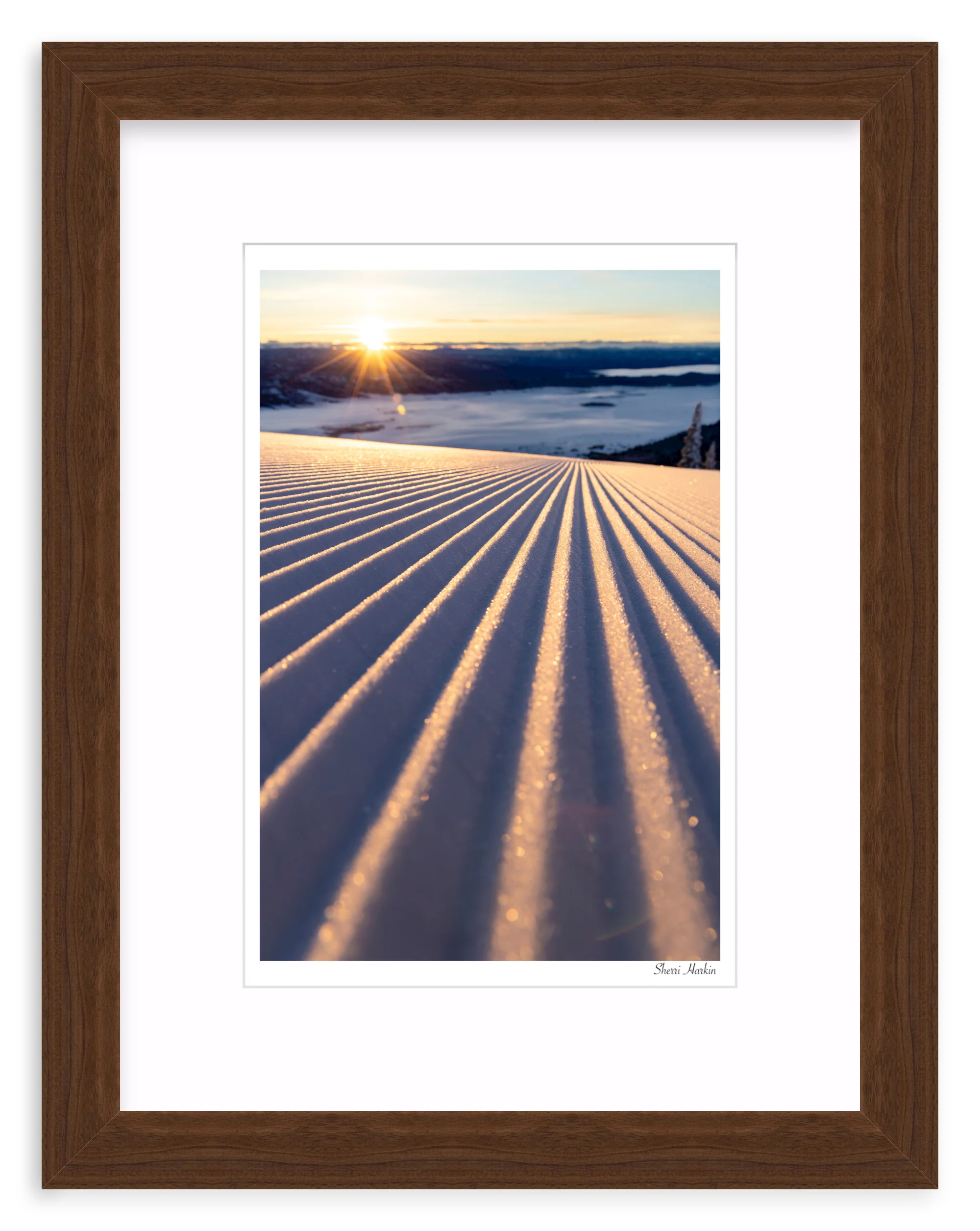 Groomers - Image 7