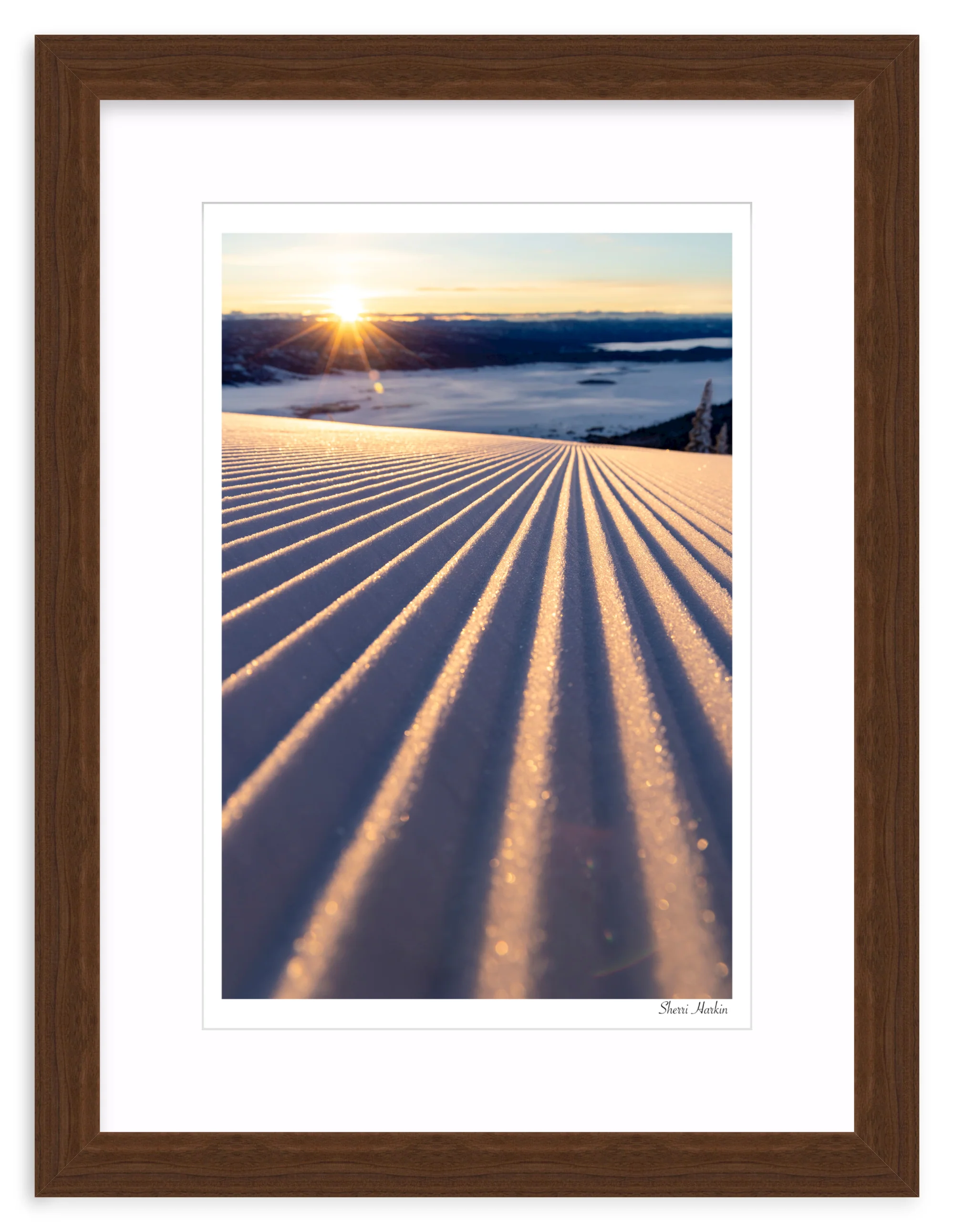 Groomers - Image 8