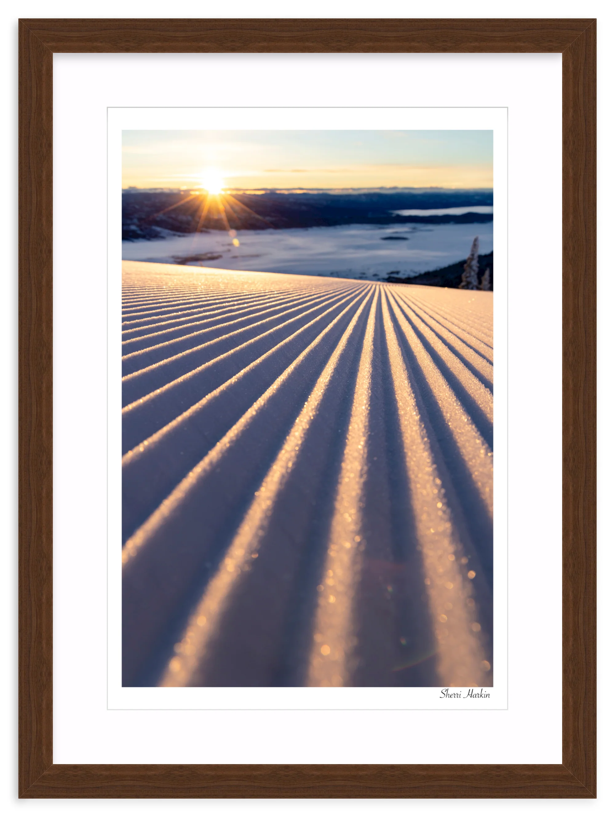 Groomers - Image 9