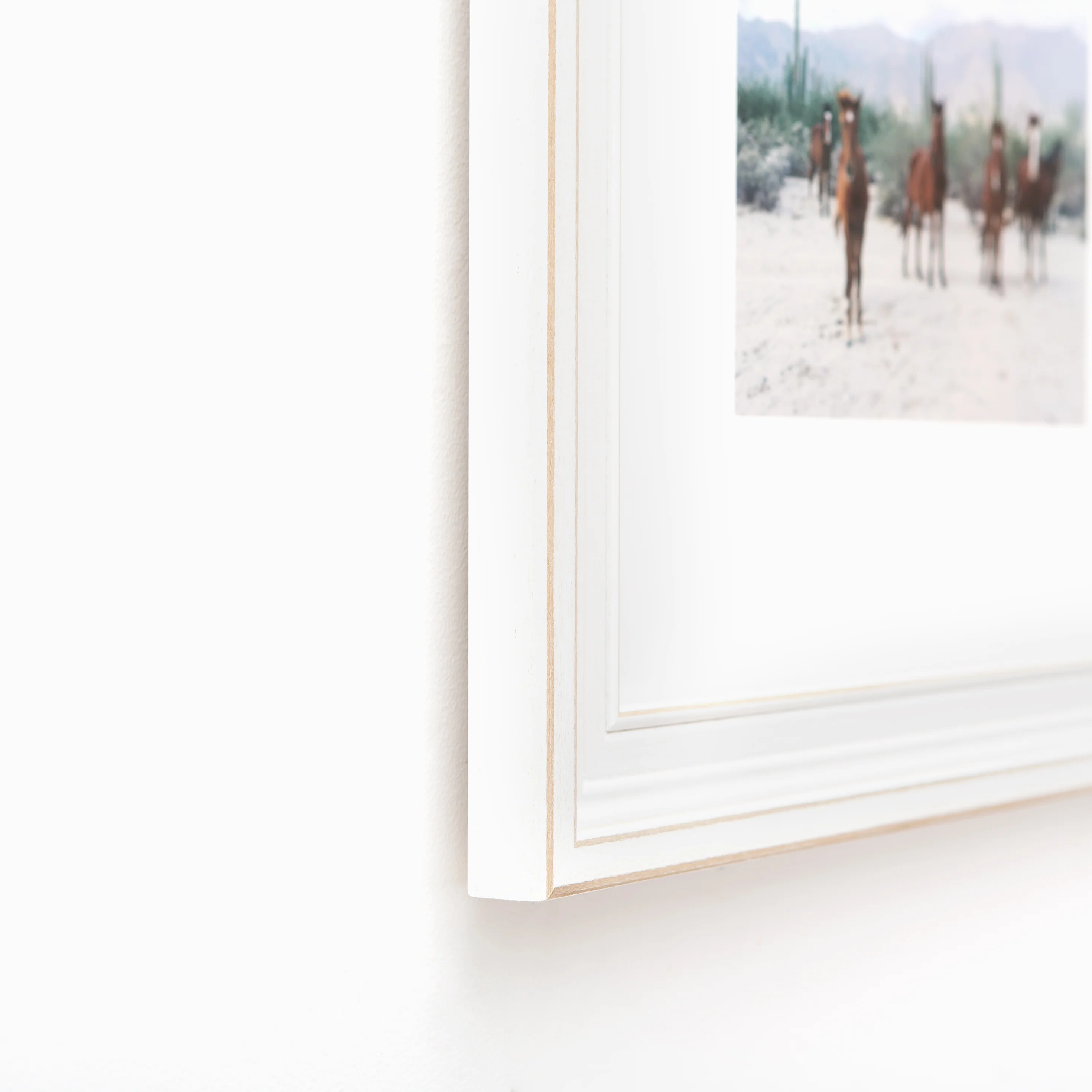 Montauk - Image 4
