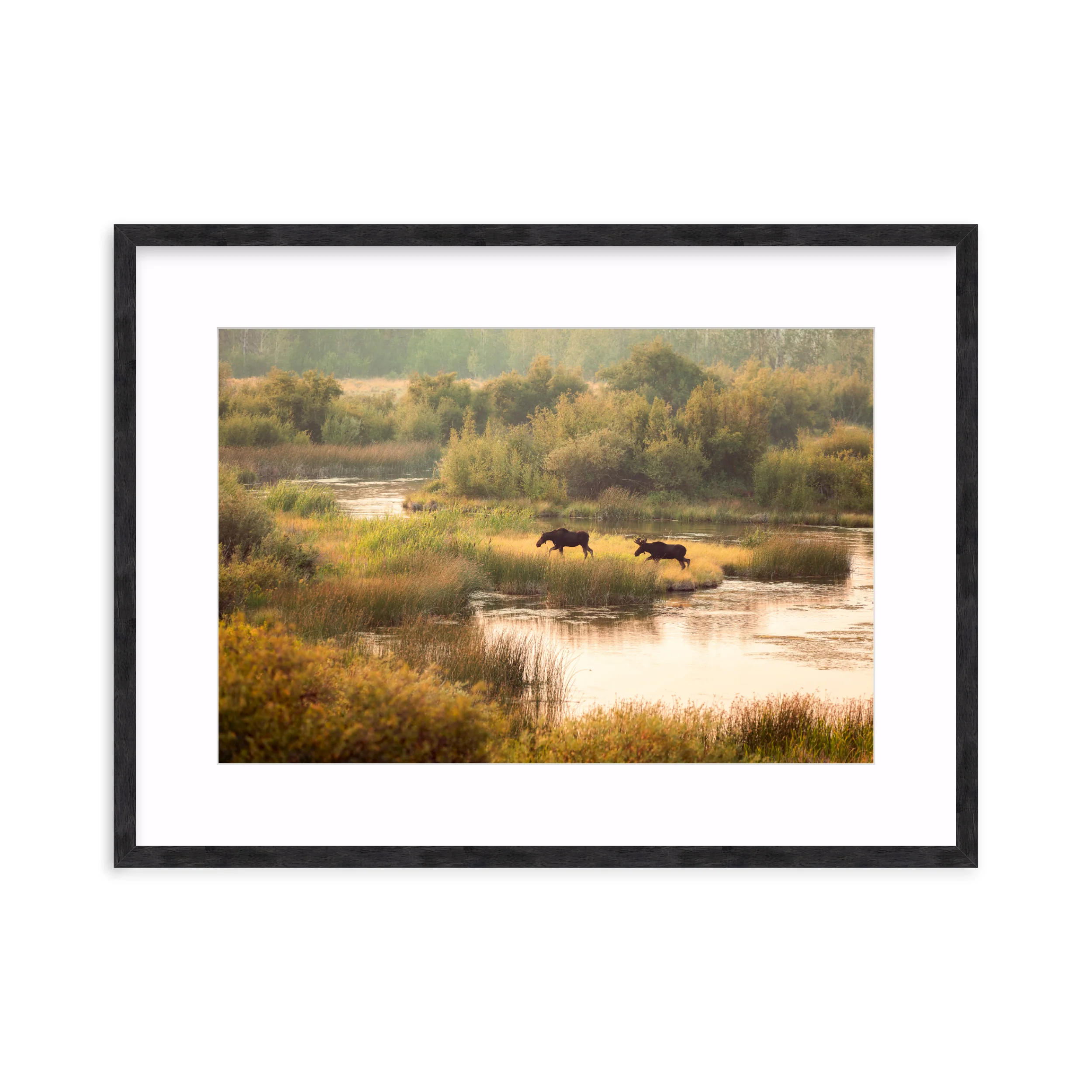 Moose Crossing - Image 10