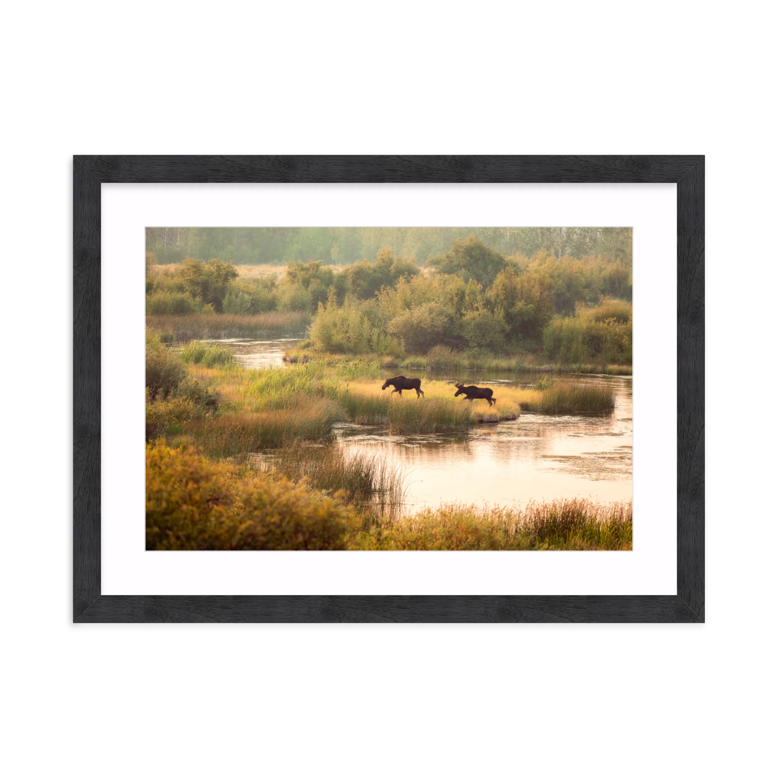 Moose Crossing - Image 15