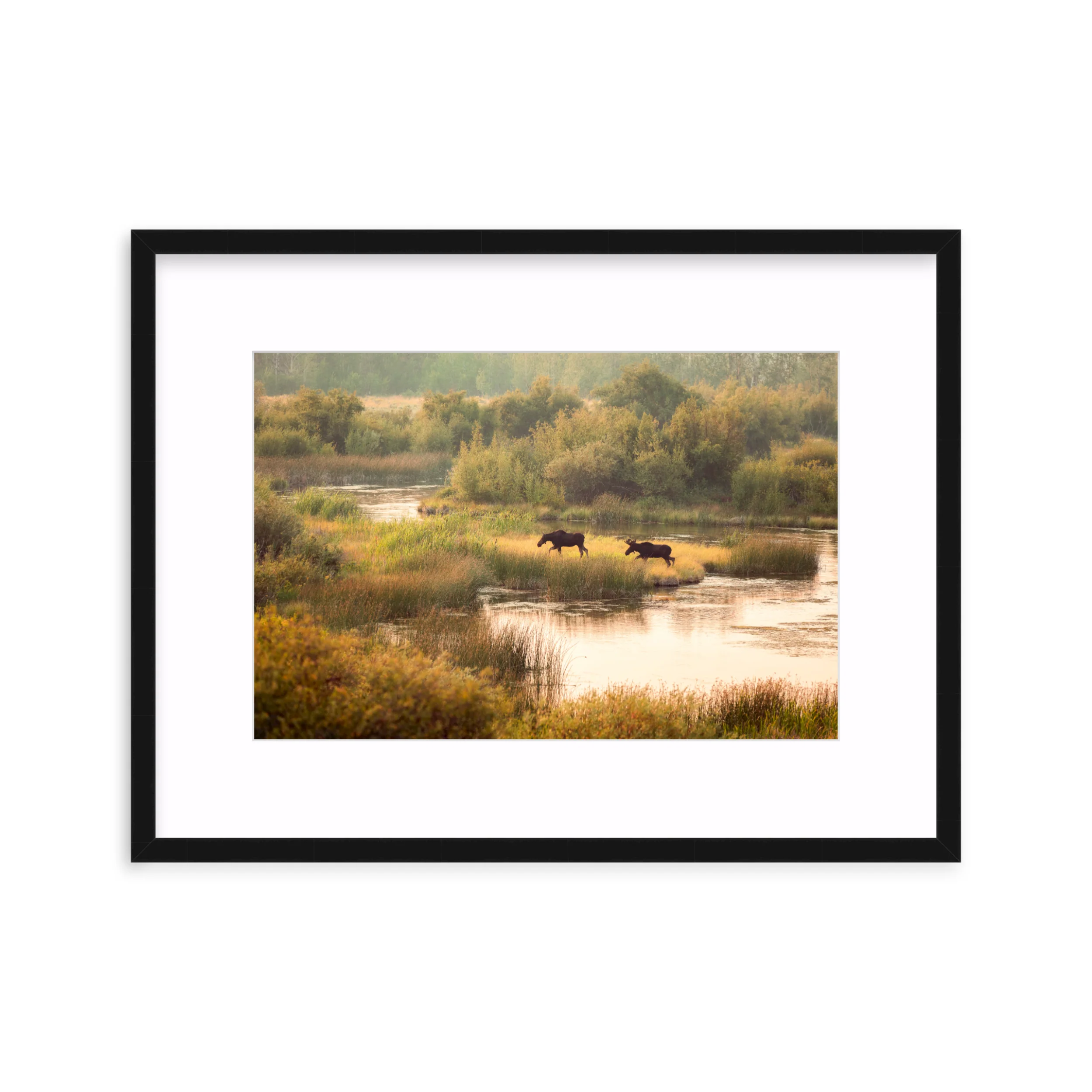 Moose Crossing - Image 2