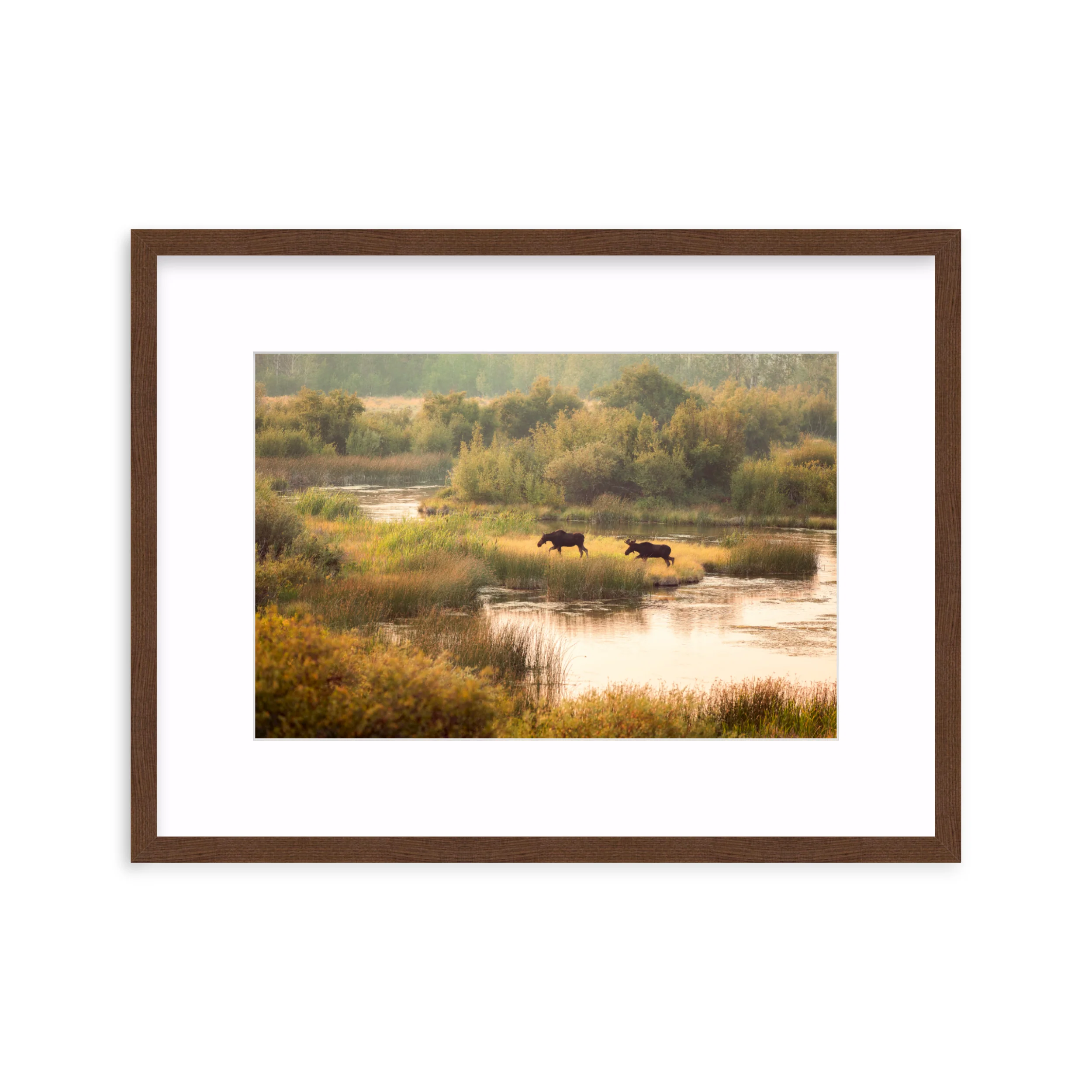 Moose Crossing - Image 4