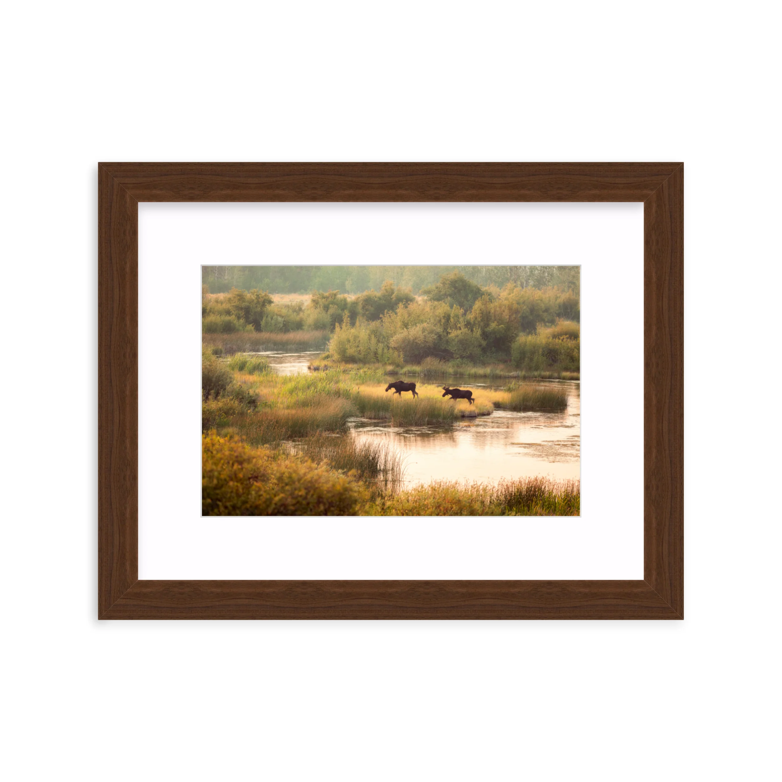 Moose Crossing - Image 7