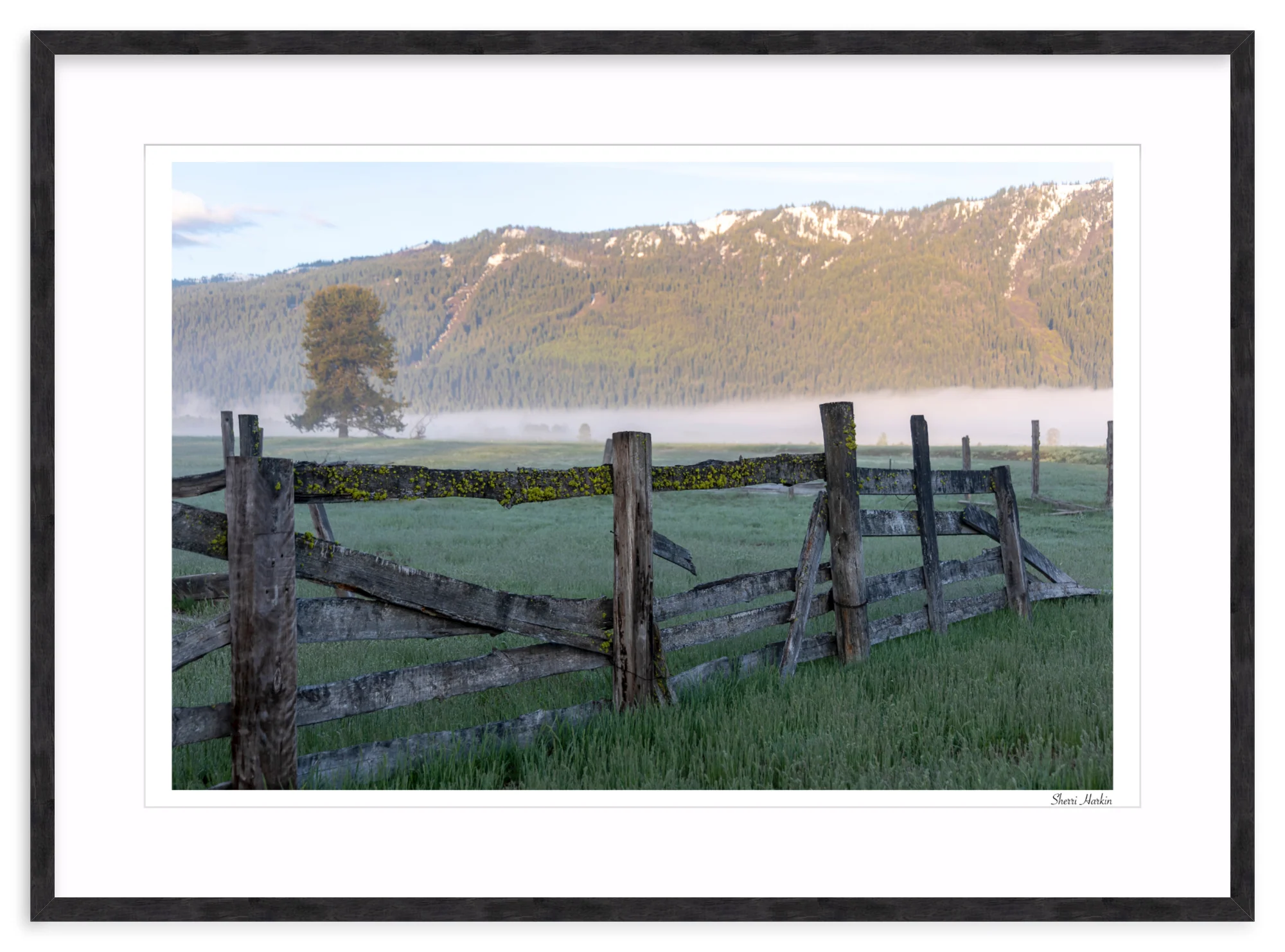 Old Fence - Image 12