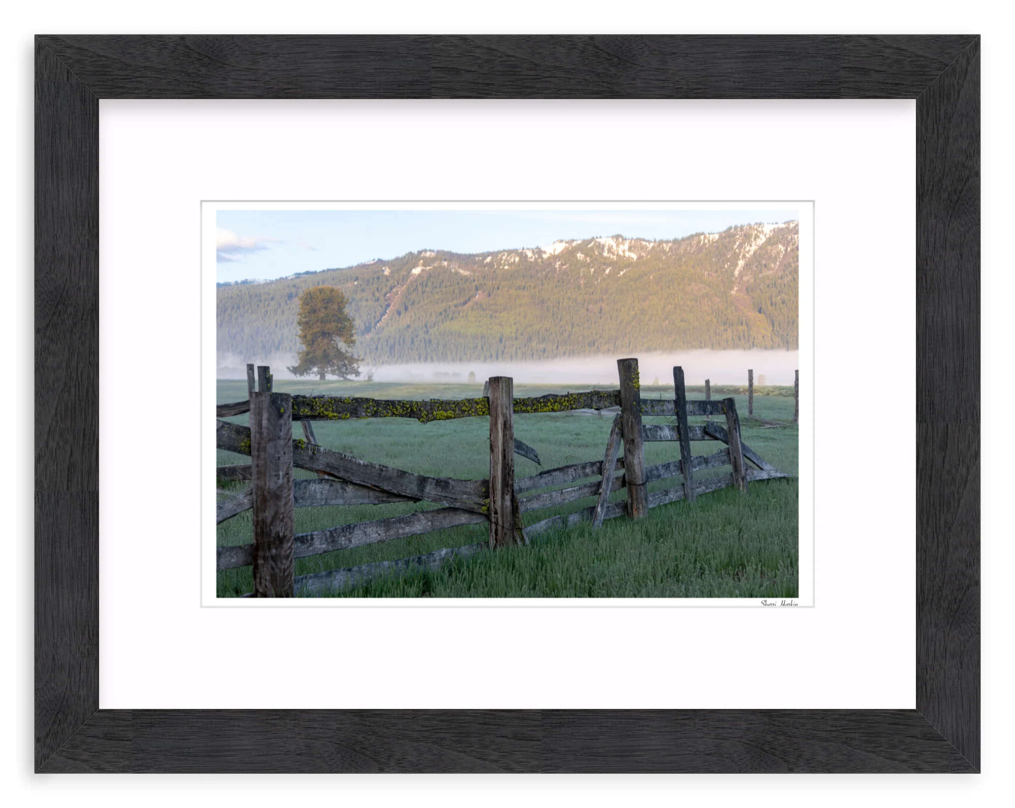 Old Fence - Image 13