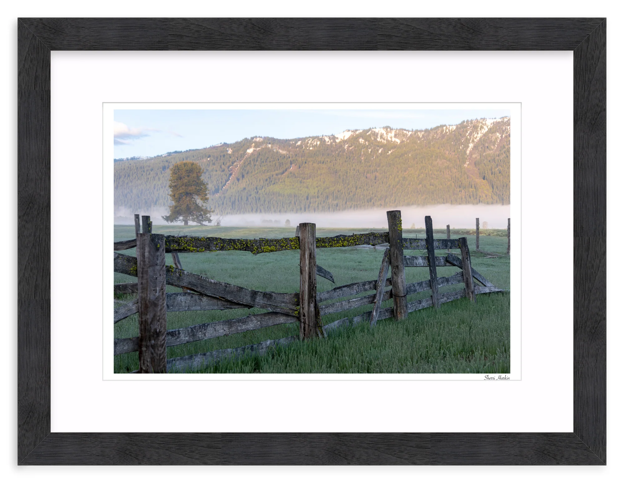 Old Fence - Image 14