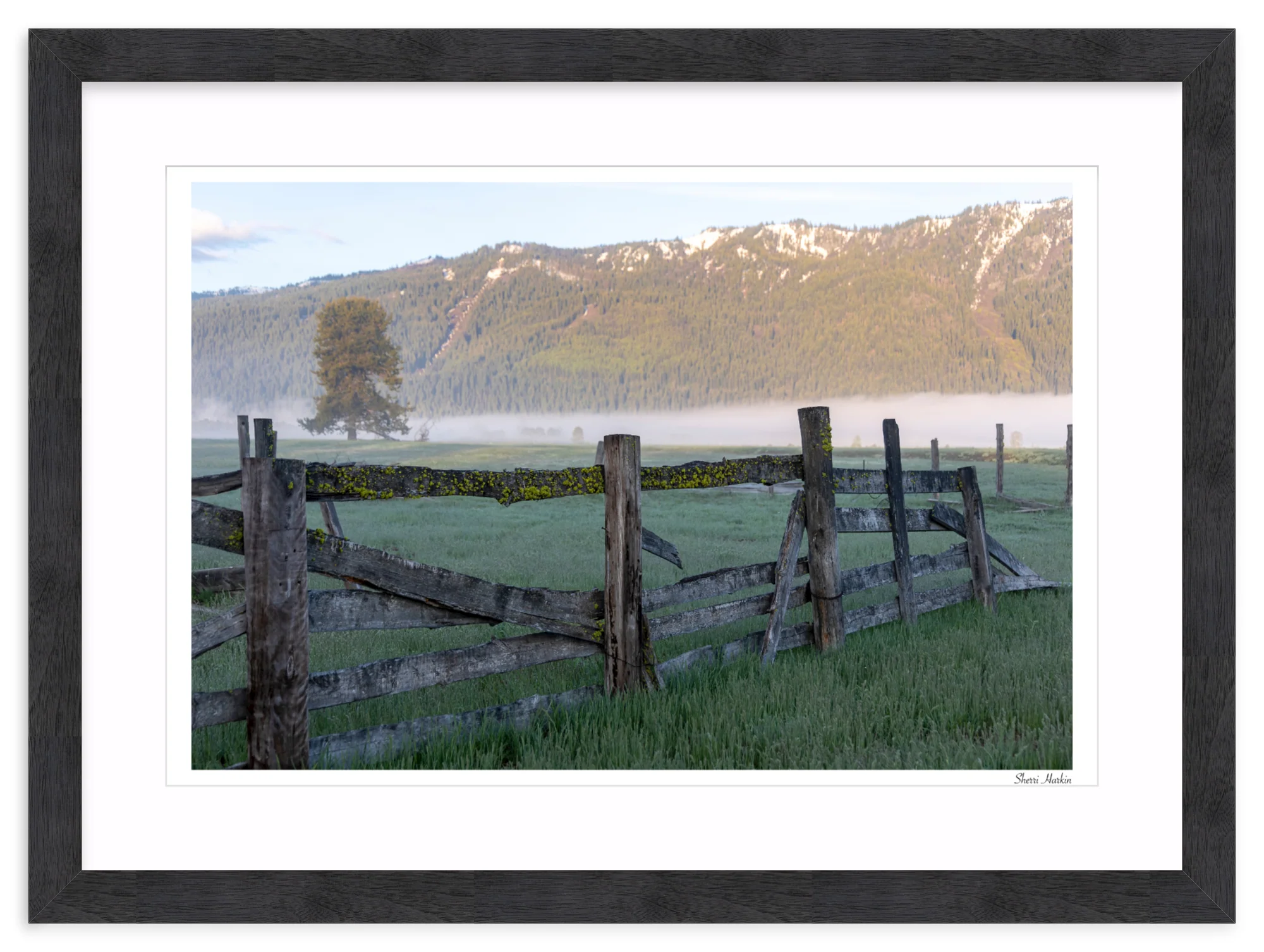 Old Fence - Image 15