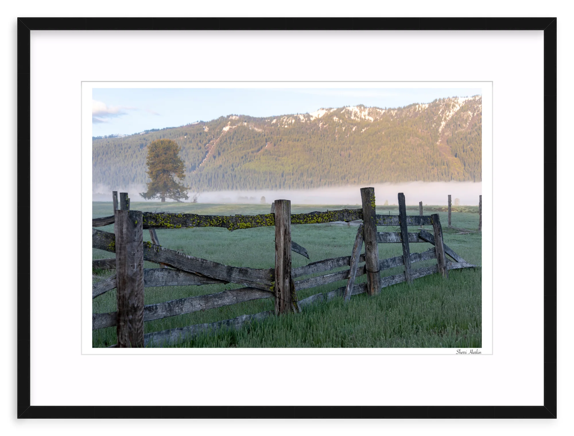 Old Fence - Image 2