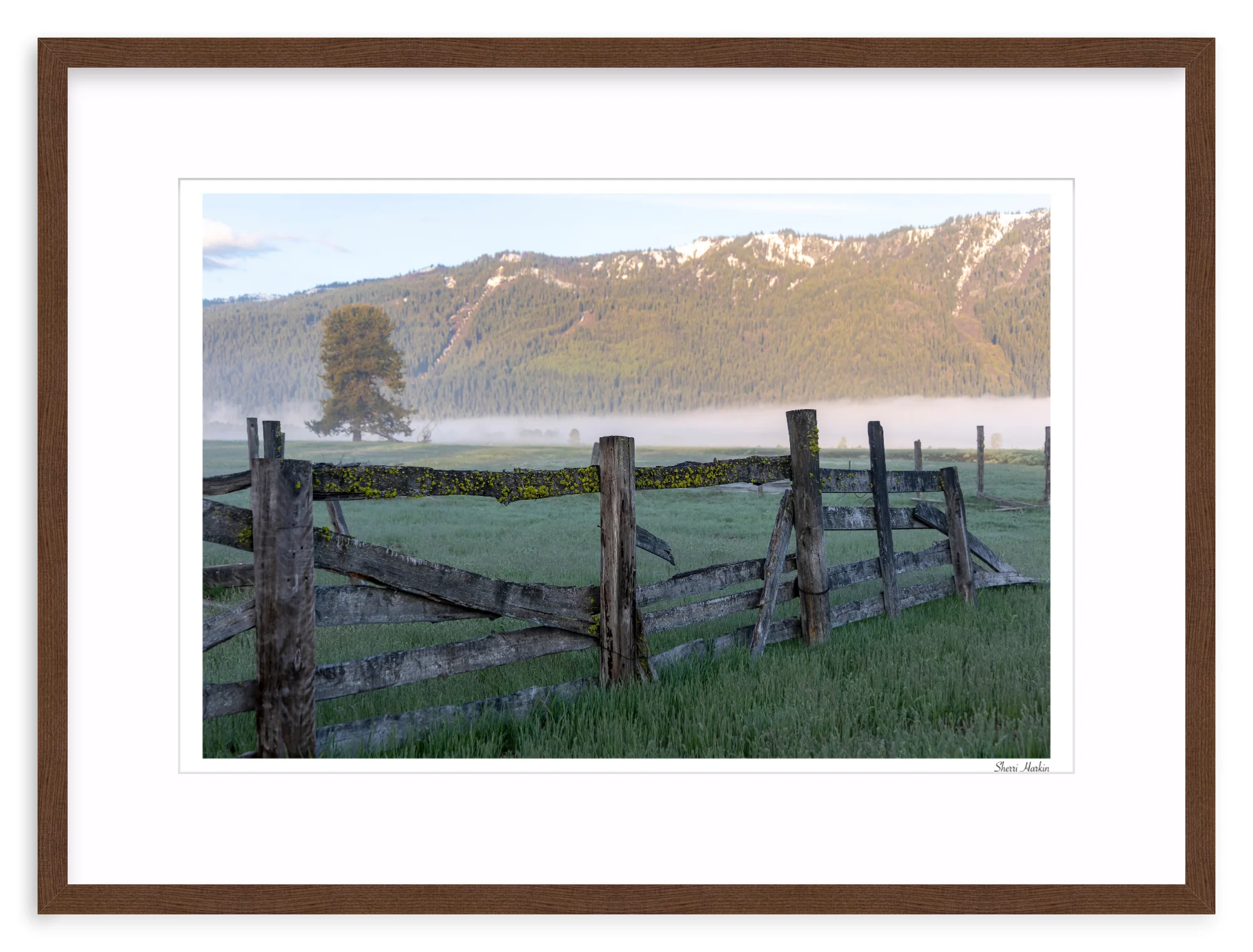 Old Fence - Image 5