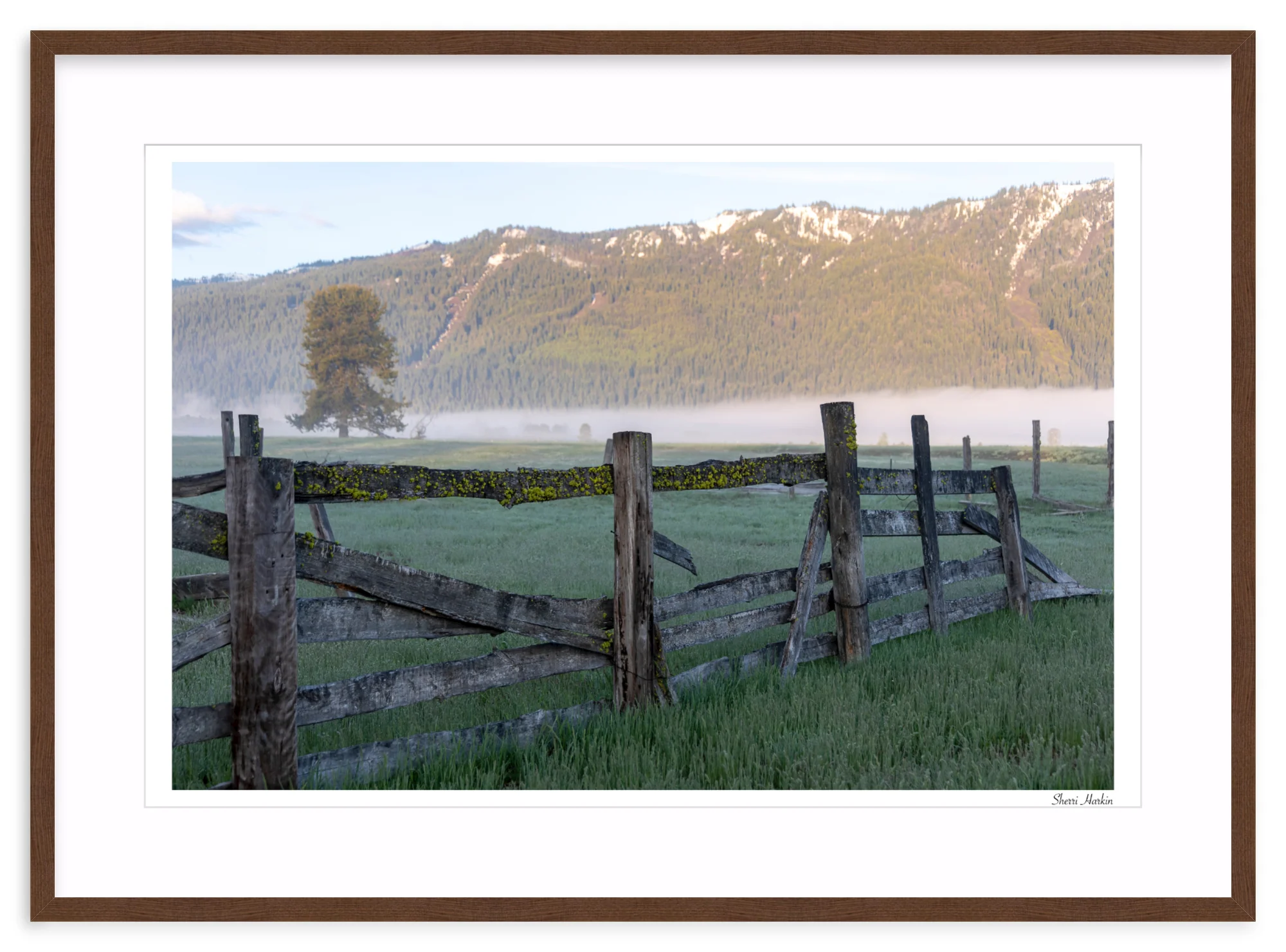 Old Fence - Image 6