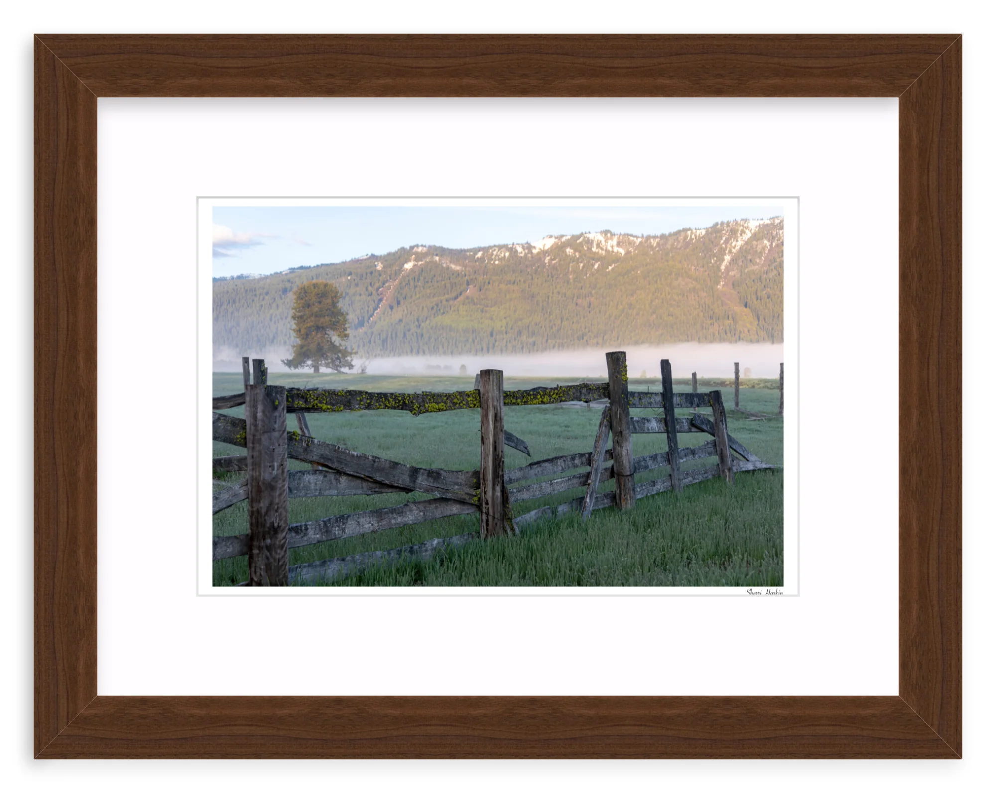 Old Fence - Image 7