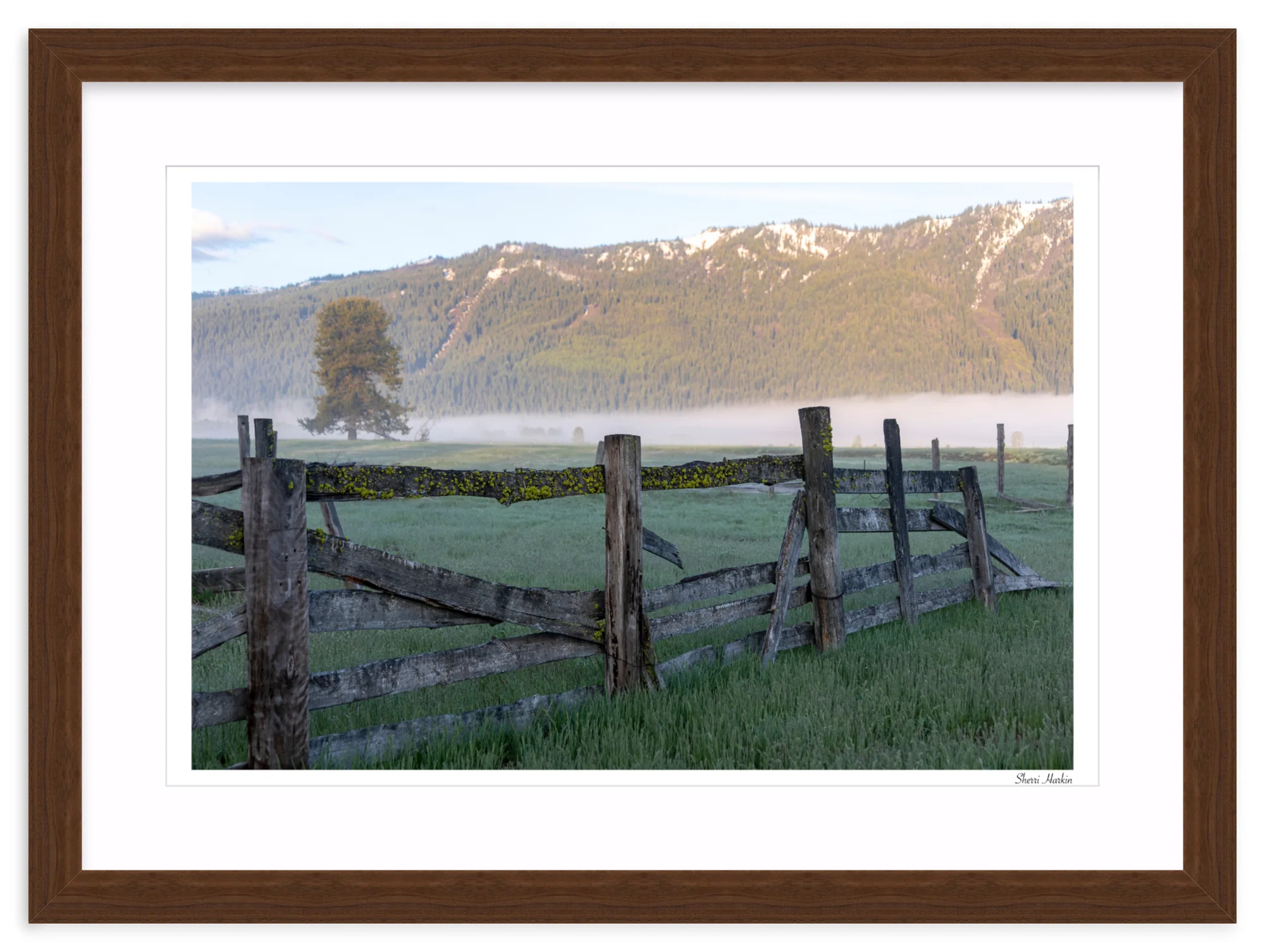 Old Fence - Image 9
