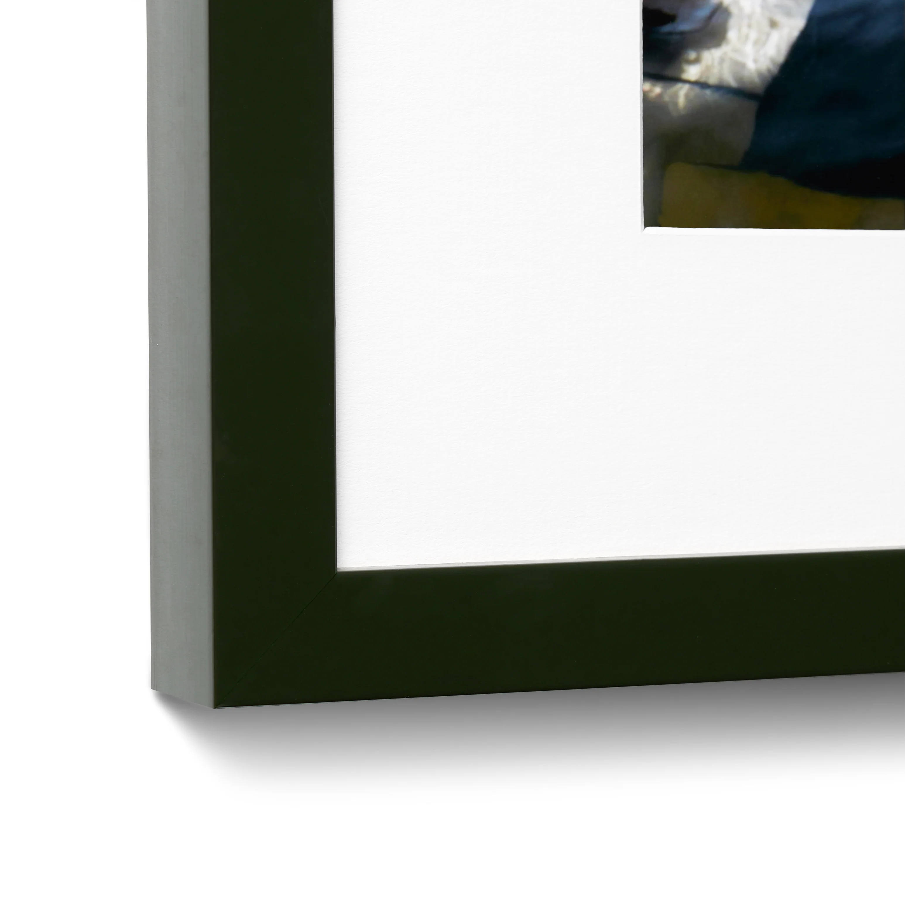Olive Gloss - Image 3