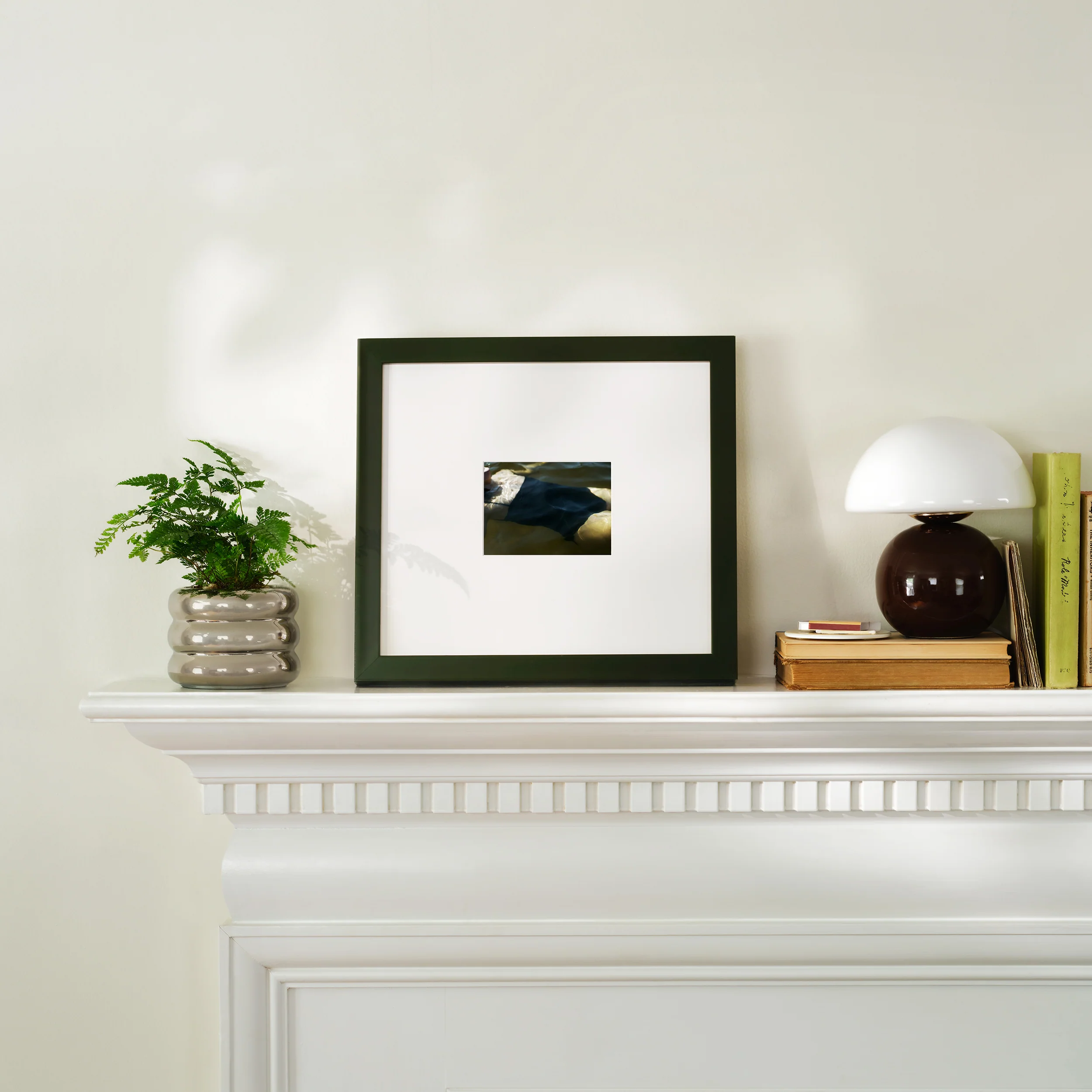 Olive Gloss - Image 5