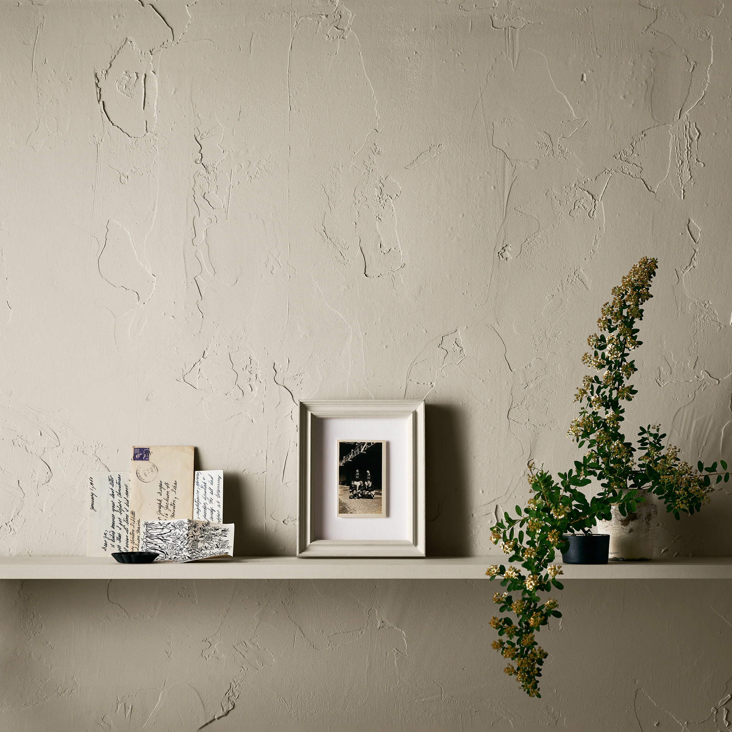 School House White [Prof. 01] - Image 4