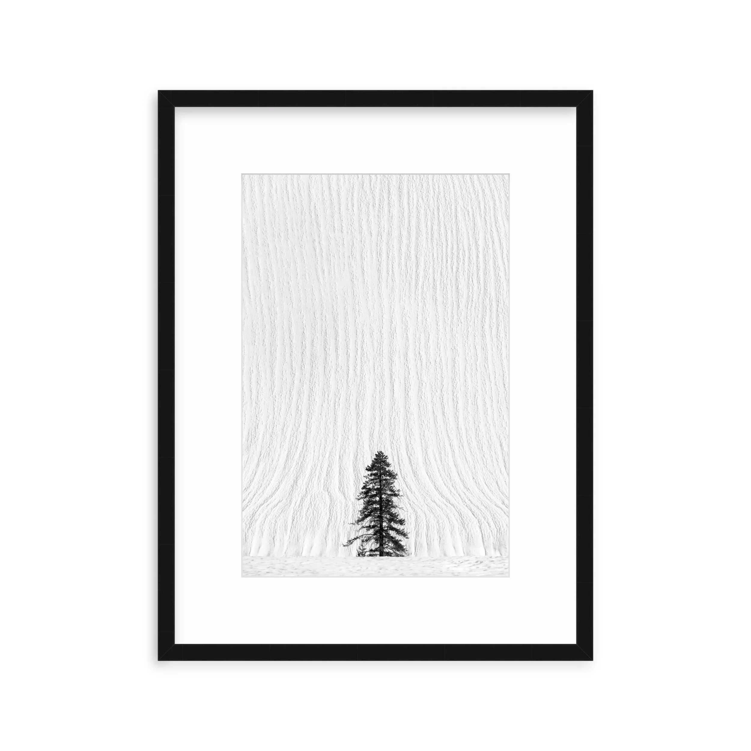 Snow Falls