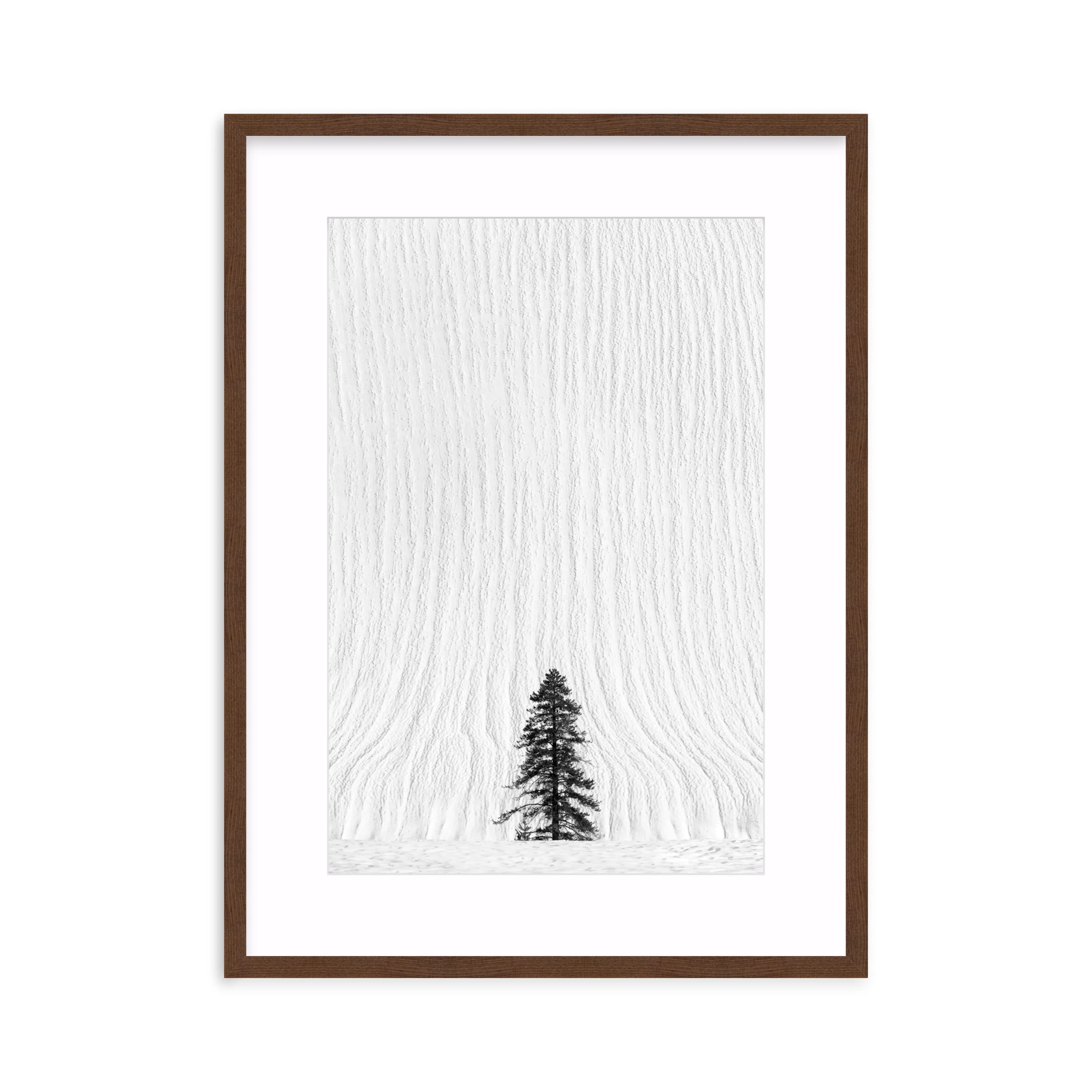 Snow Falls - Image 4