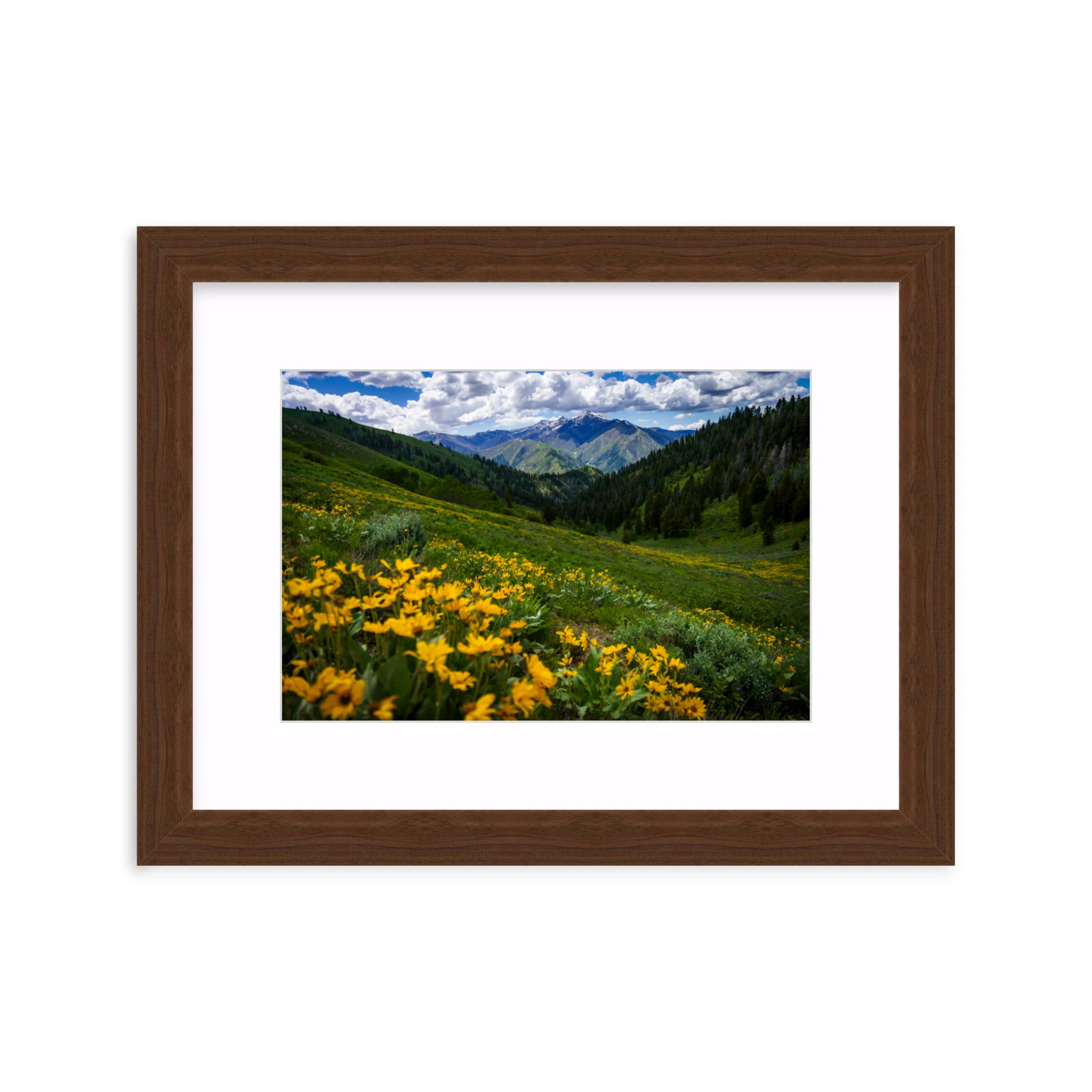 Soldier Mountains - Image 7