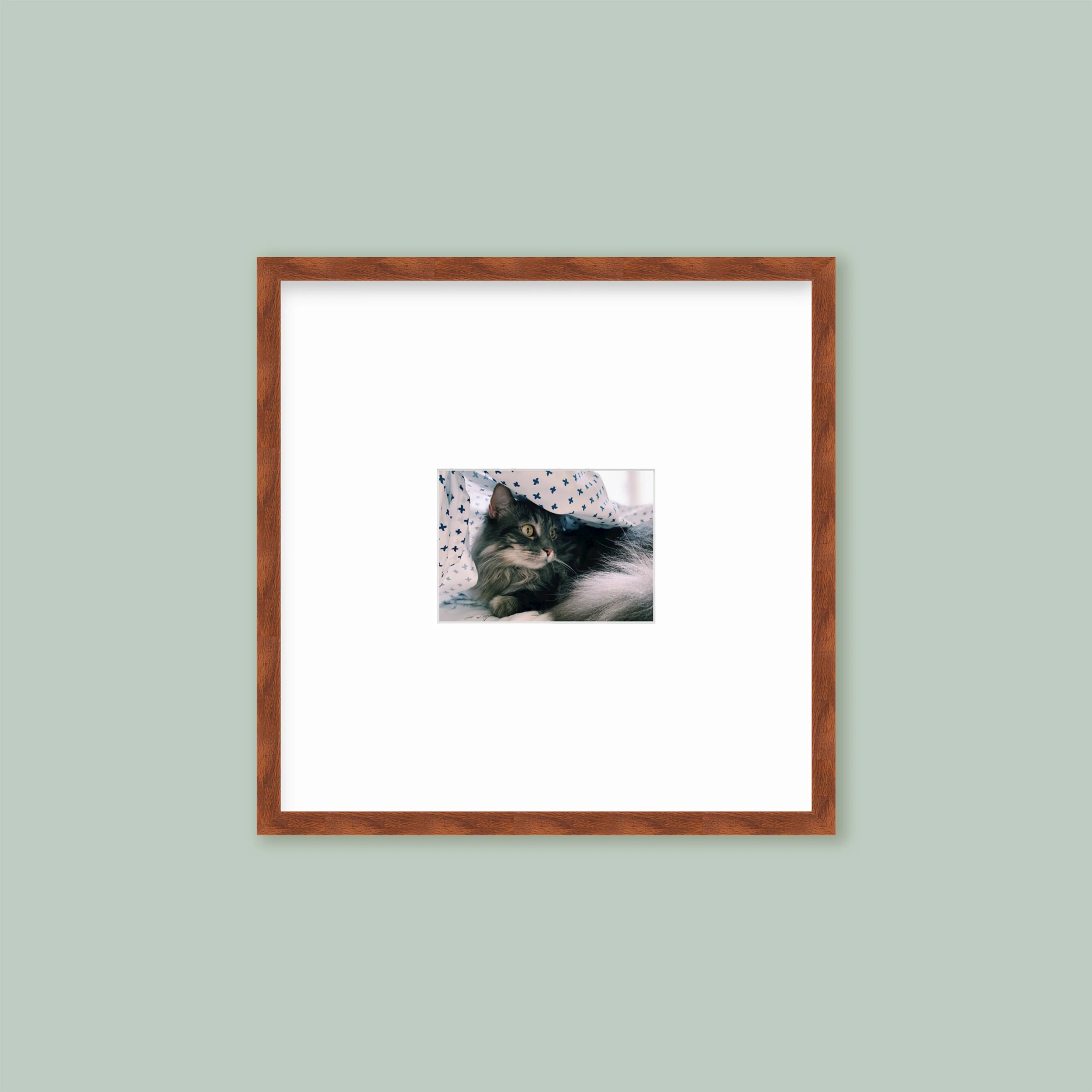 The Half Wall Grid: Single Frame