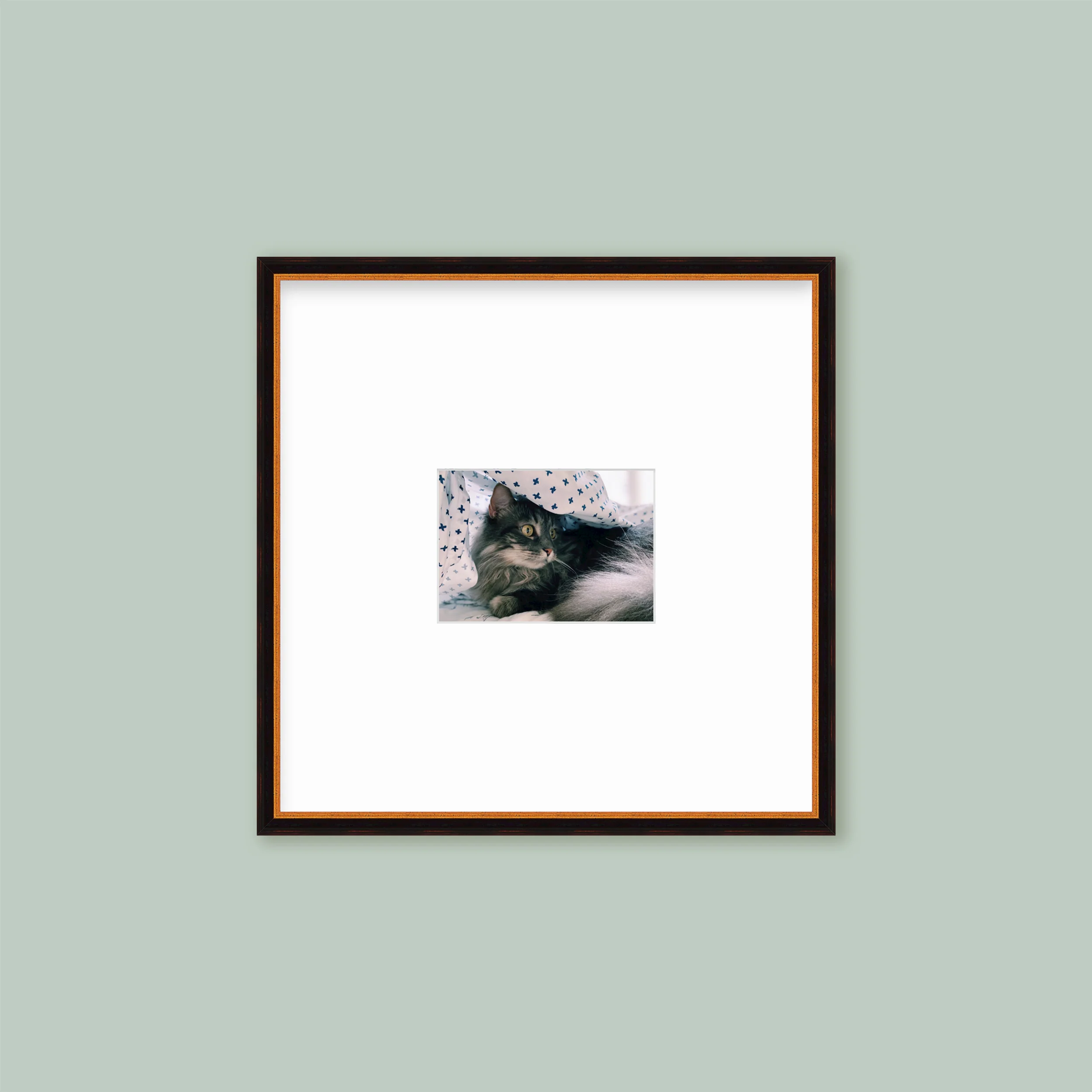 The Half Wall Grid: Single Frame - Image 2