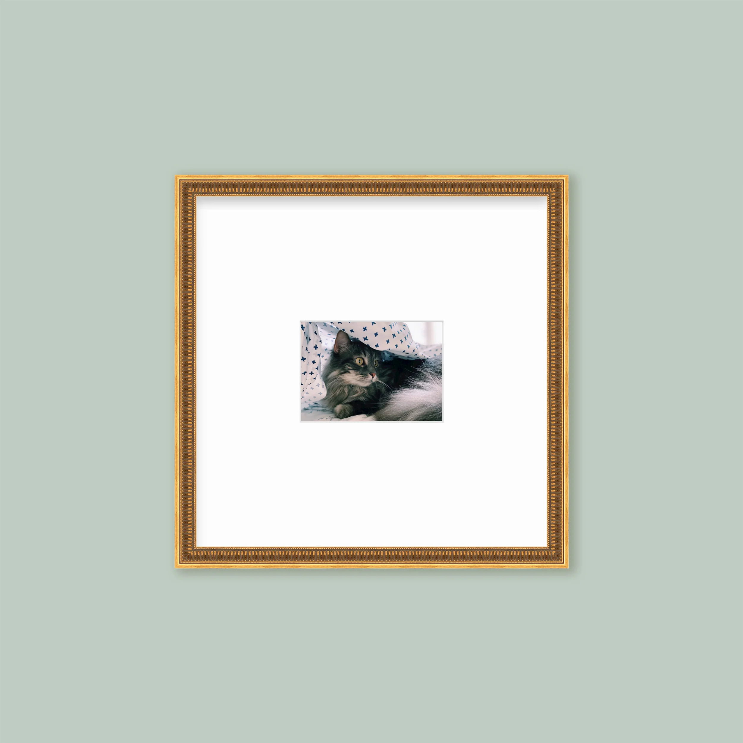 The Half Wall Grid: Single Frame - Image 3