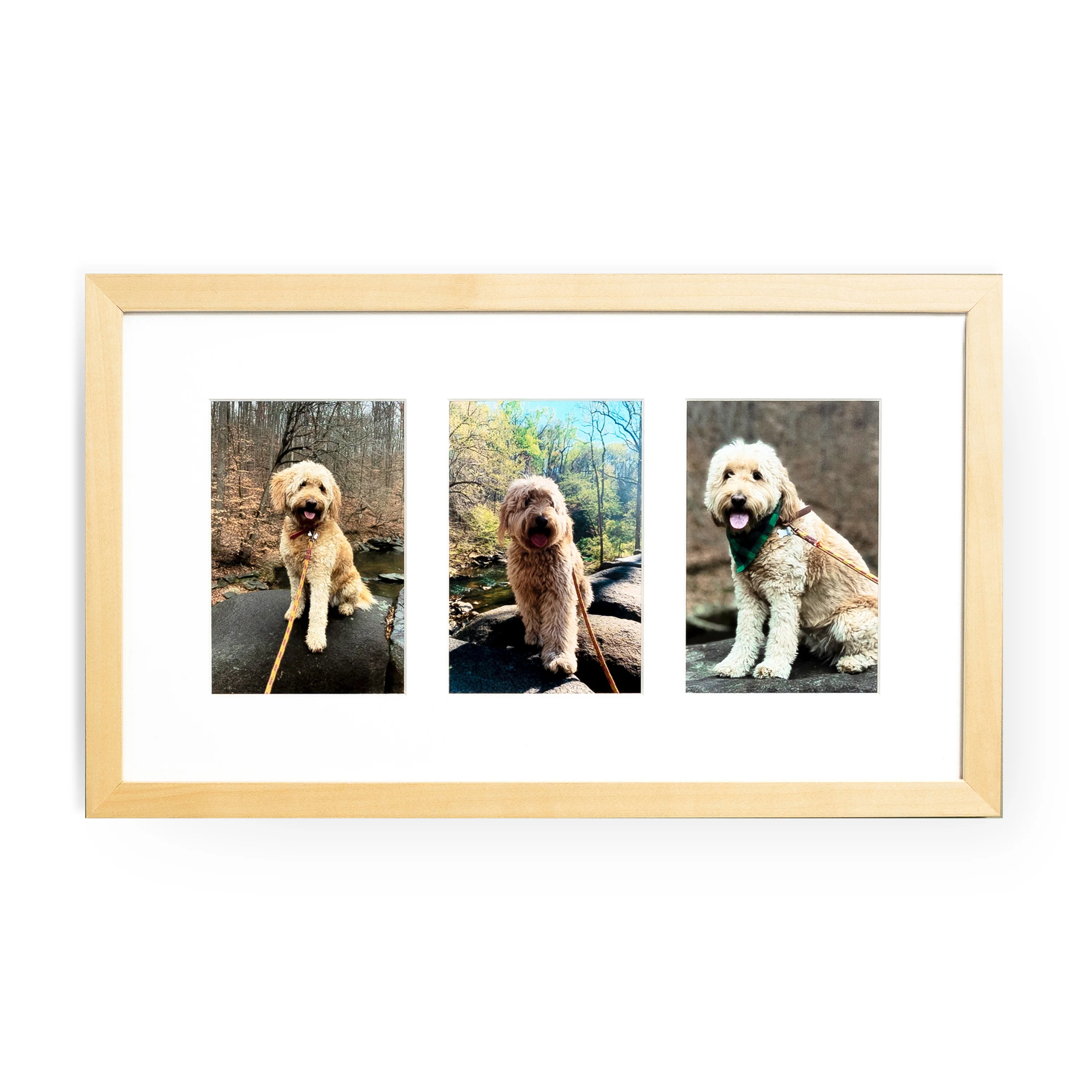 The Horizontal Trio - Image 11