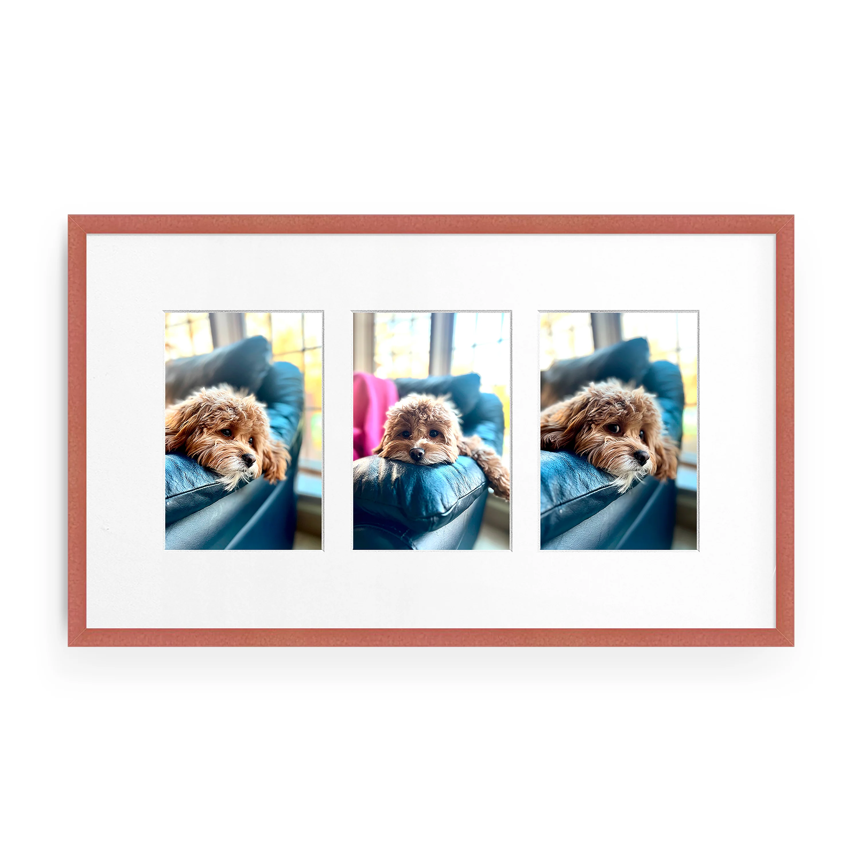The Horizontal Trio - Image 3