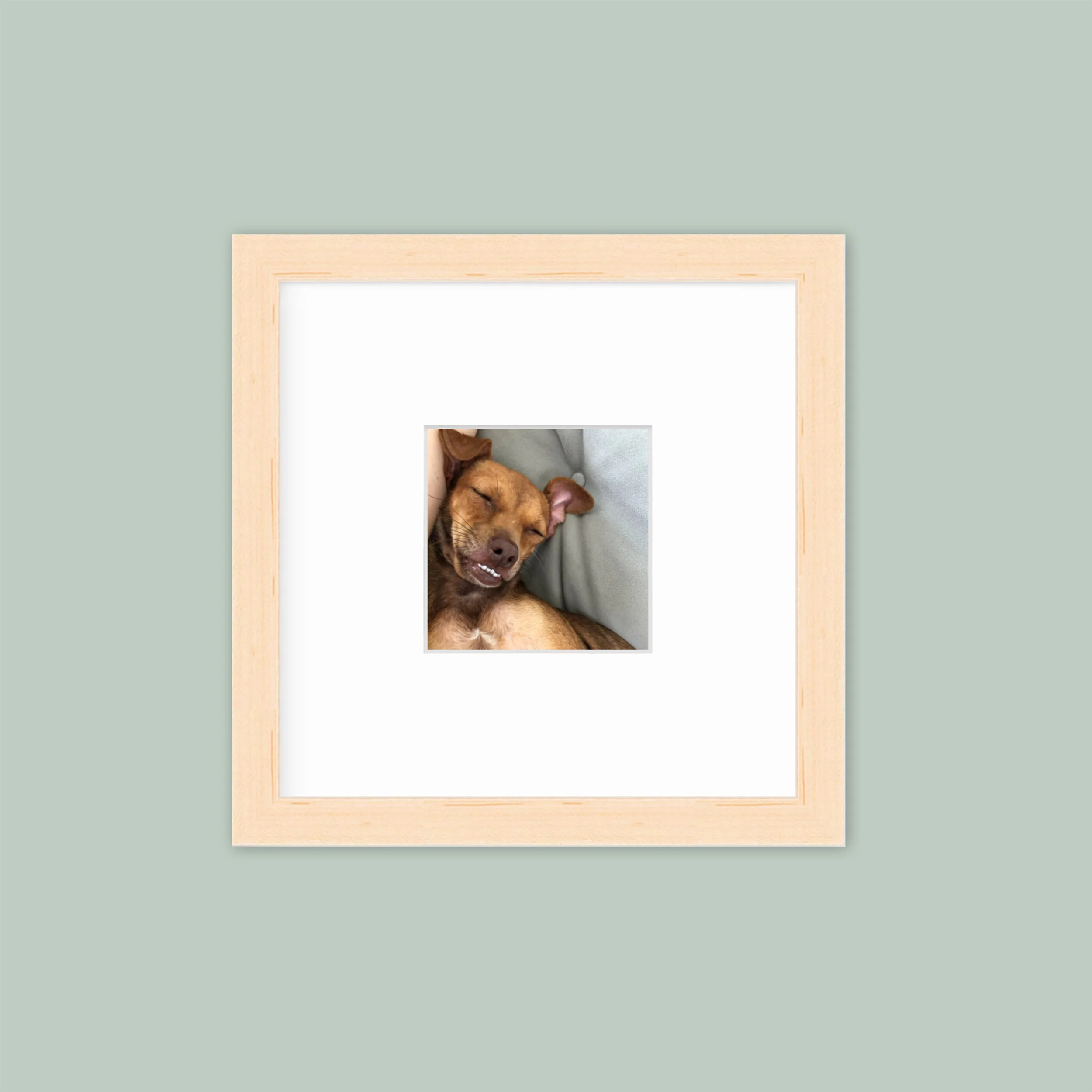 The Mini Grid: Single Frame