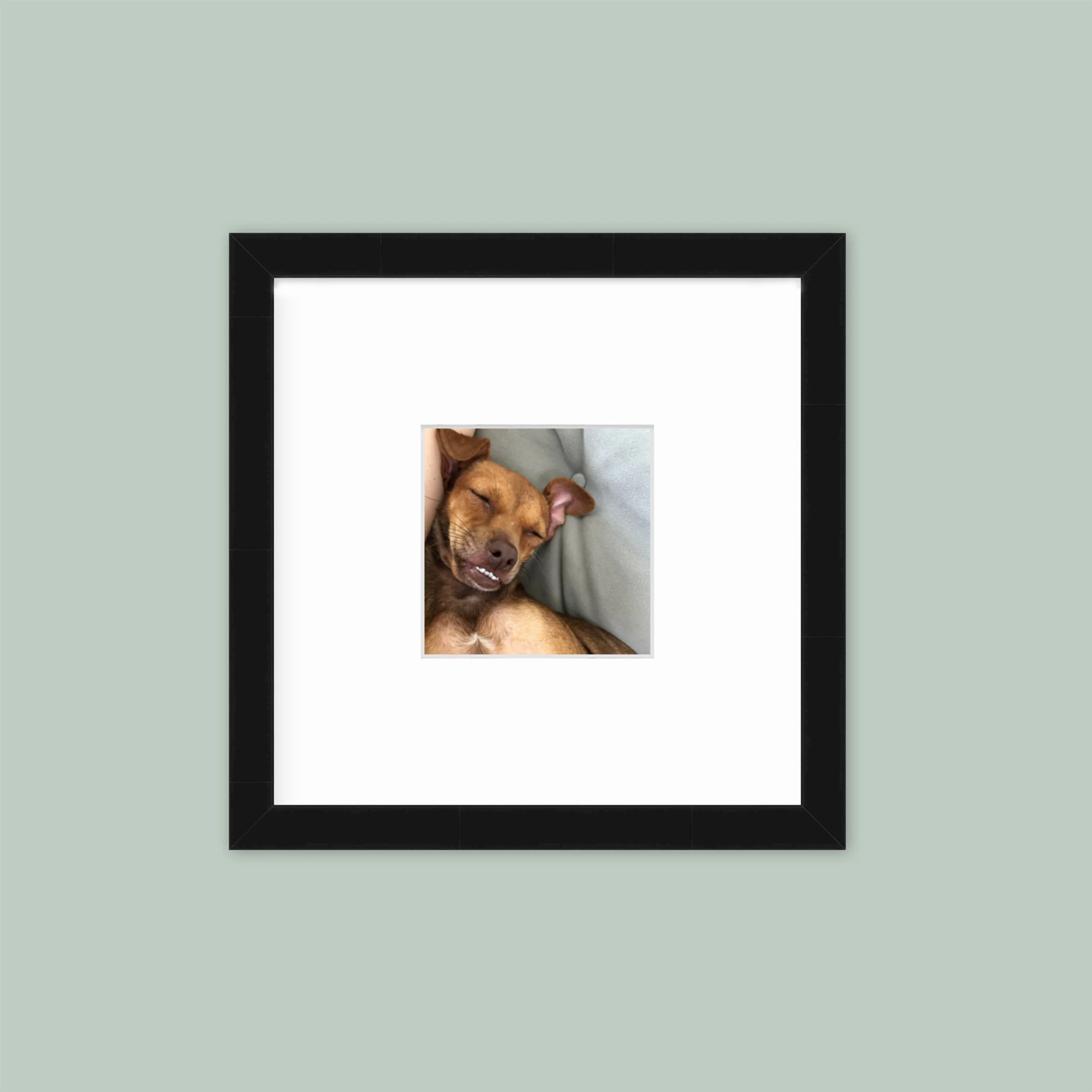 The Mini Grid: Single Frame - Image 2