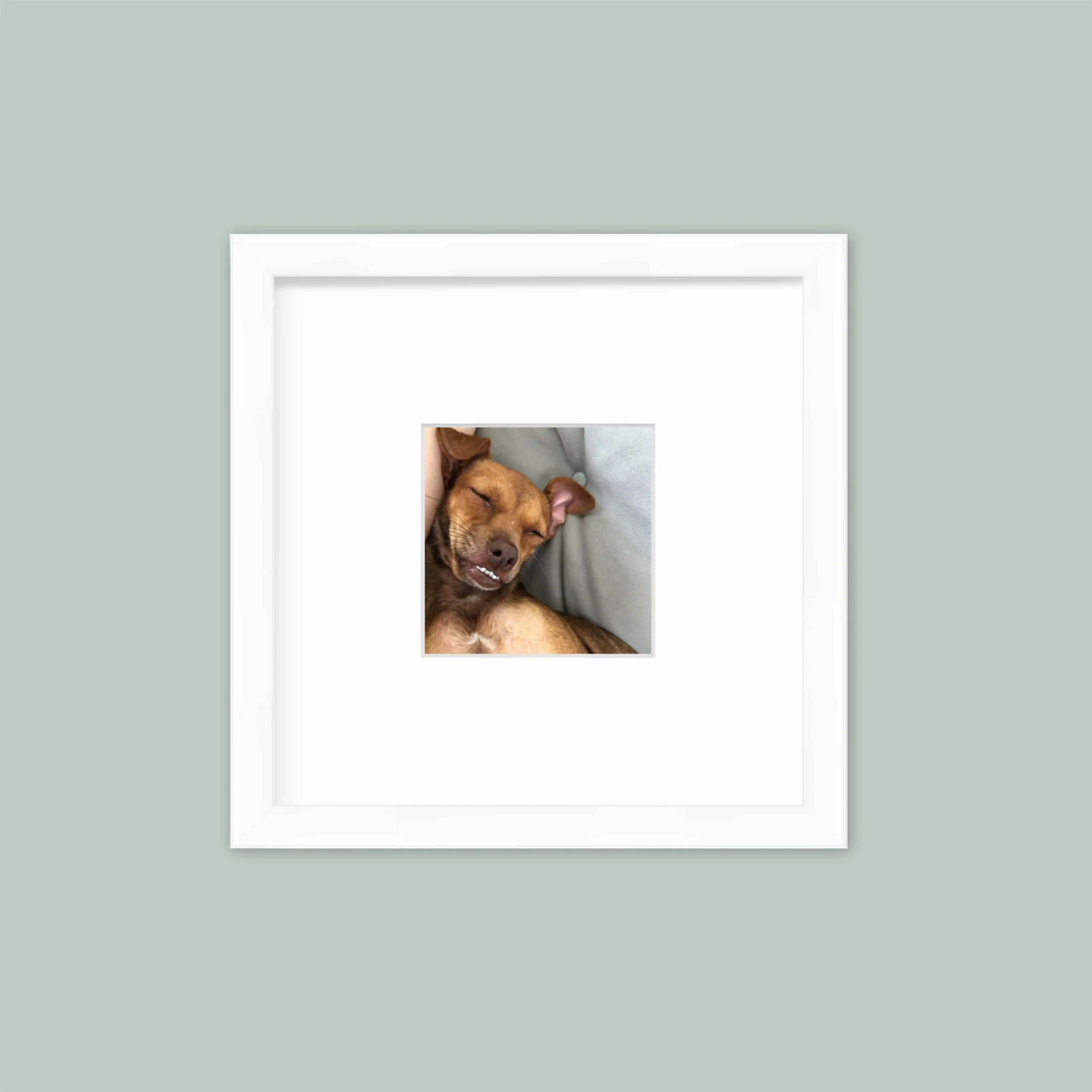 The Mini Grid: Single Frame - Image 3