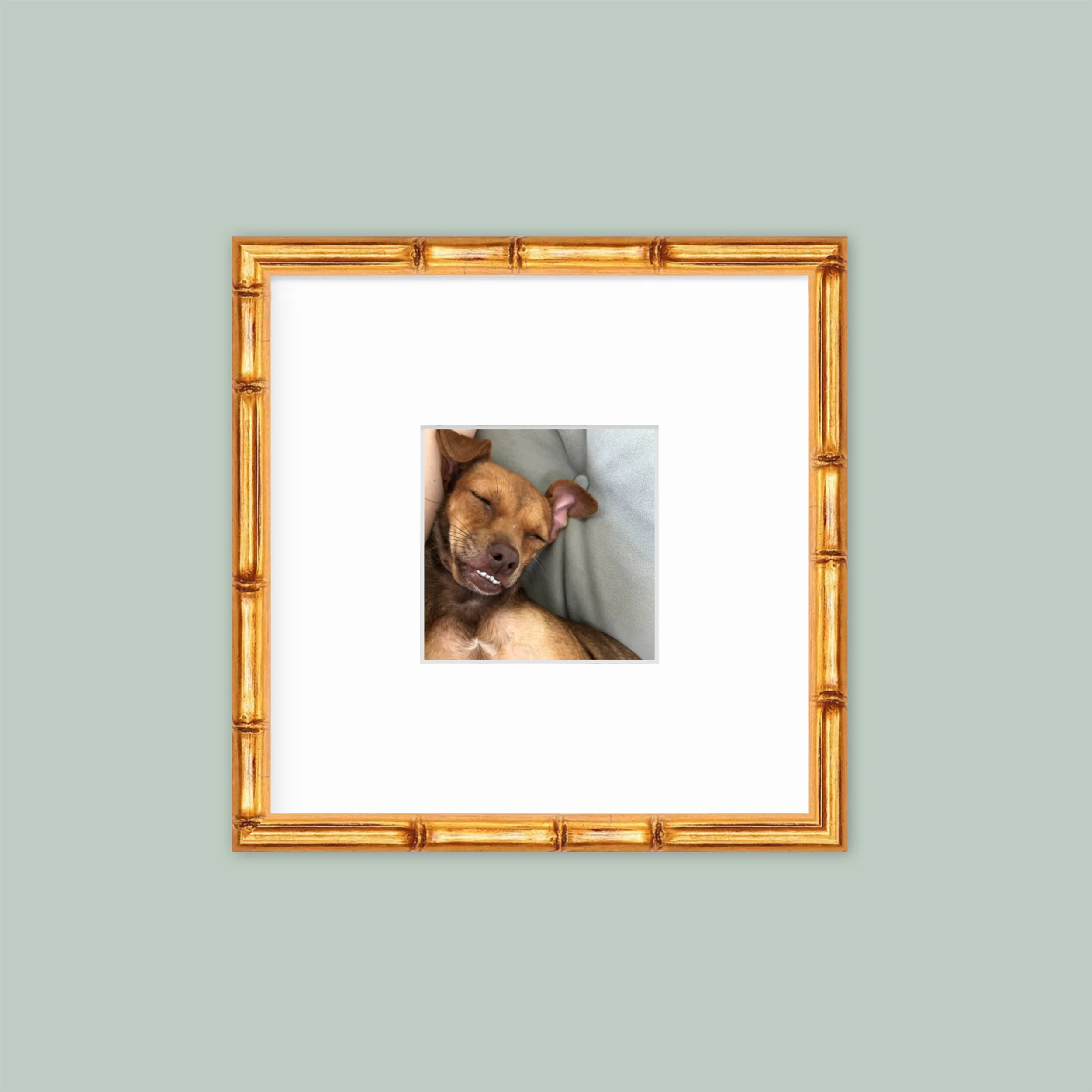 The Mini Grid: Single Frame - Image 4
