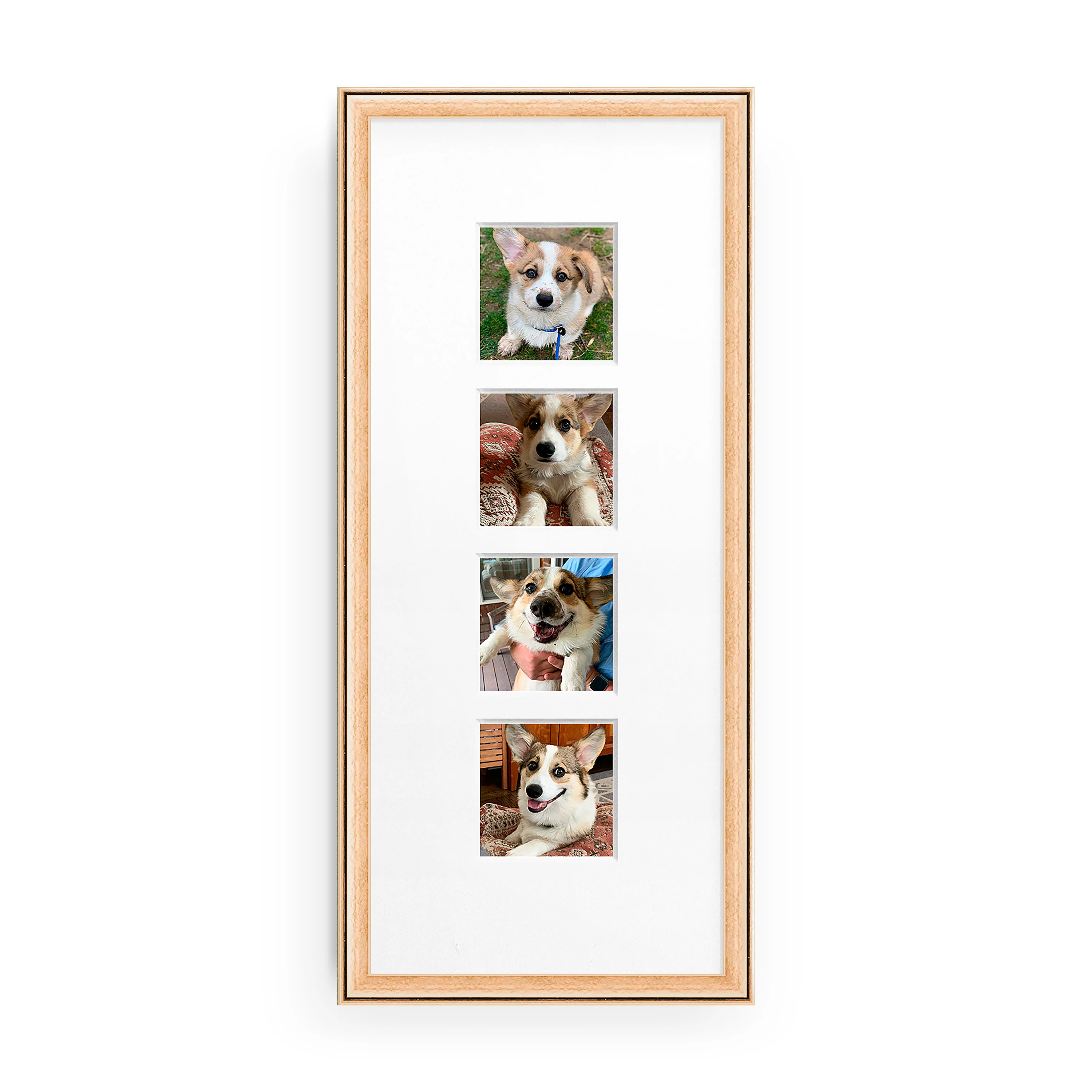 The Photo Strip - Image 14