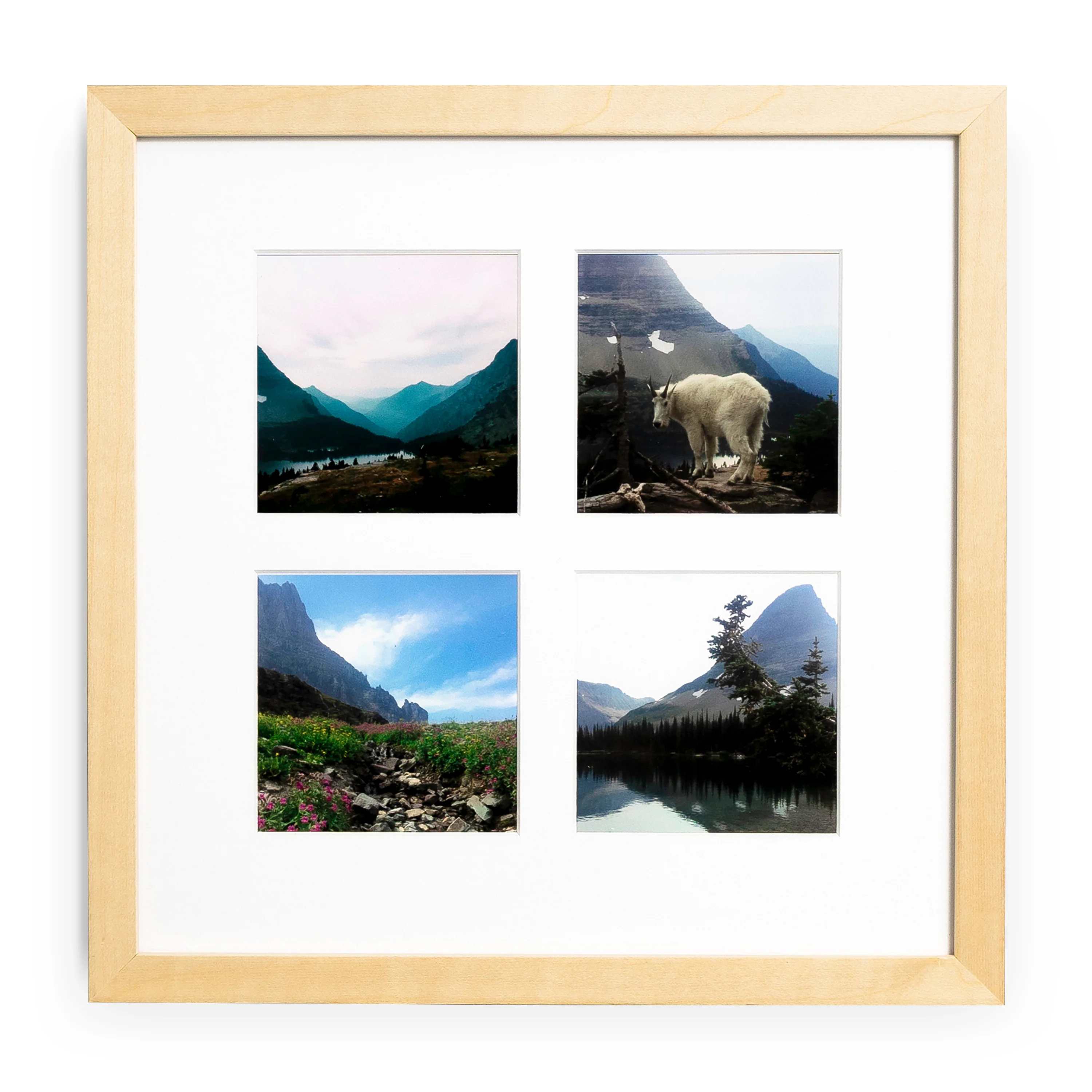 The Quartet - Image 11