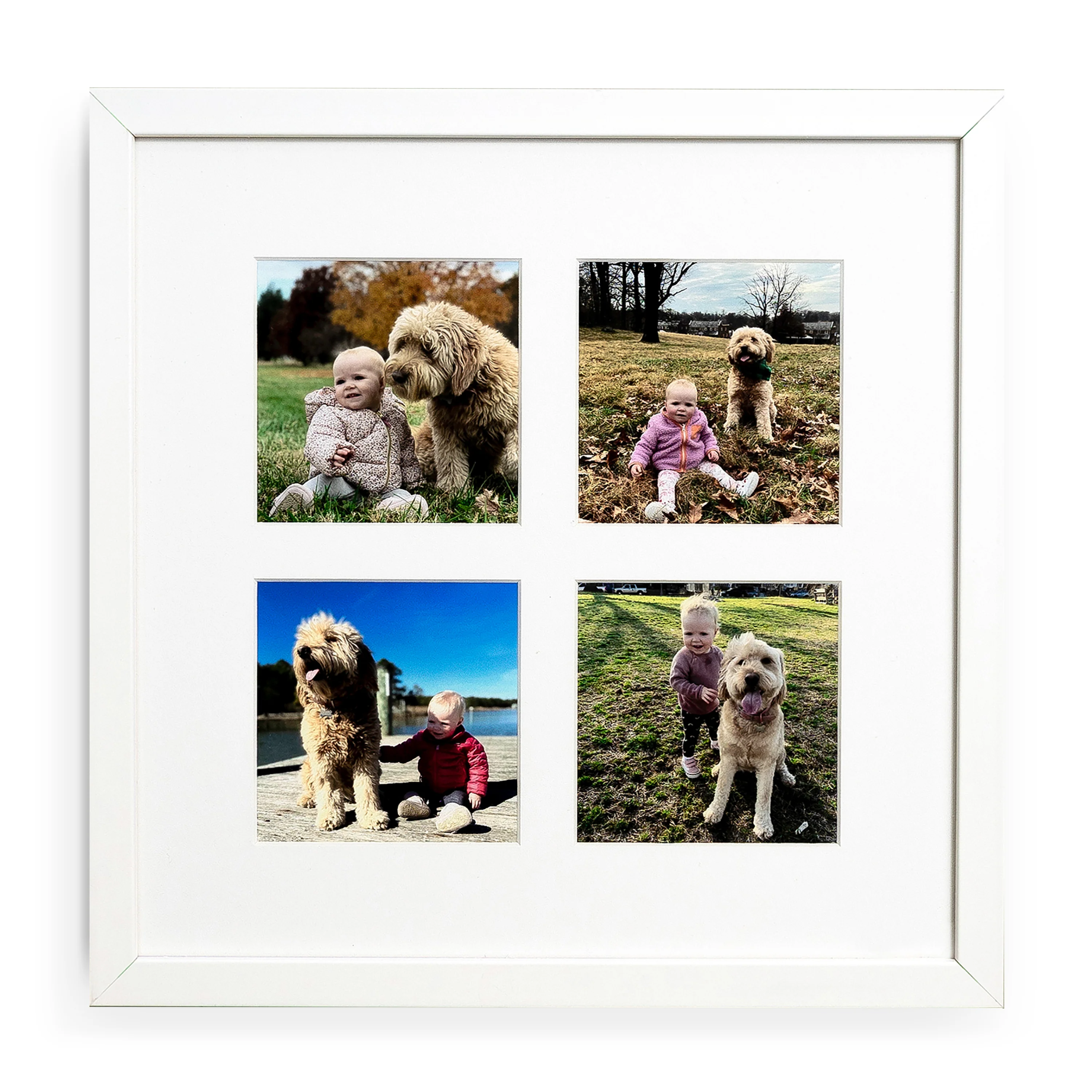 The Quartet - Image 9