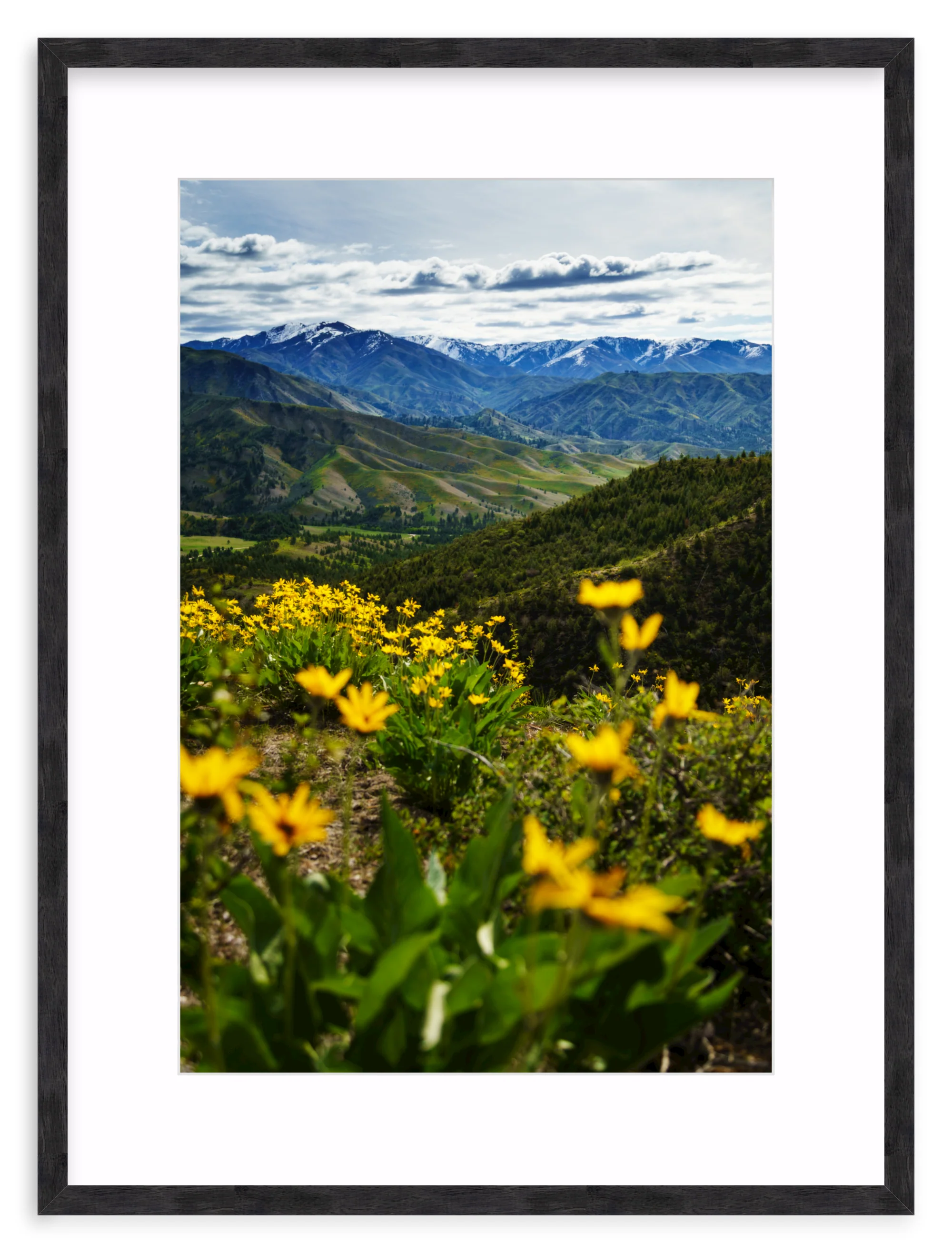 Trinity Mountains - Image 11