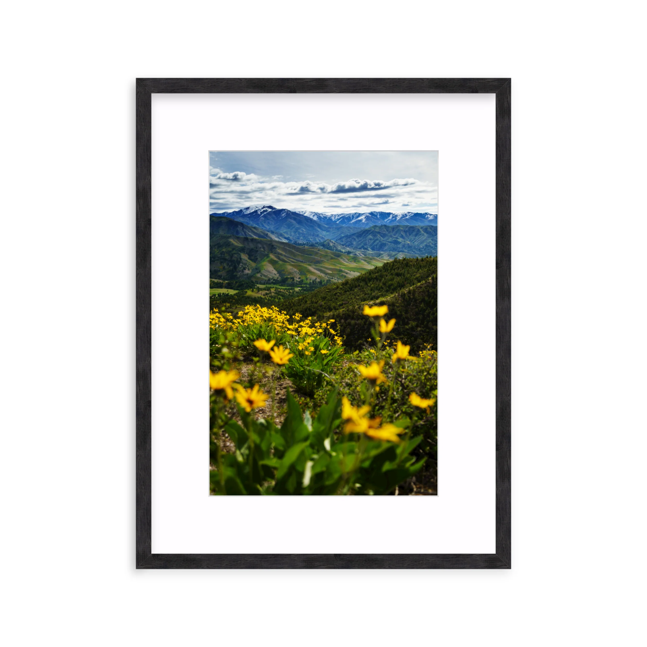 Trinity Mountains - Image 12