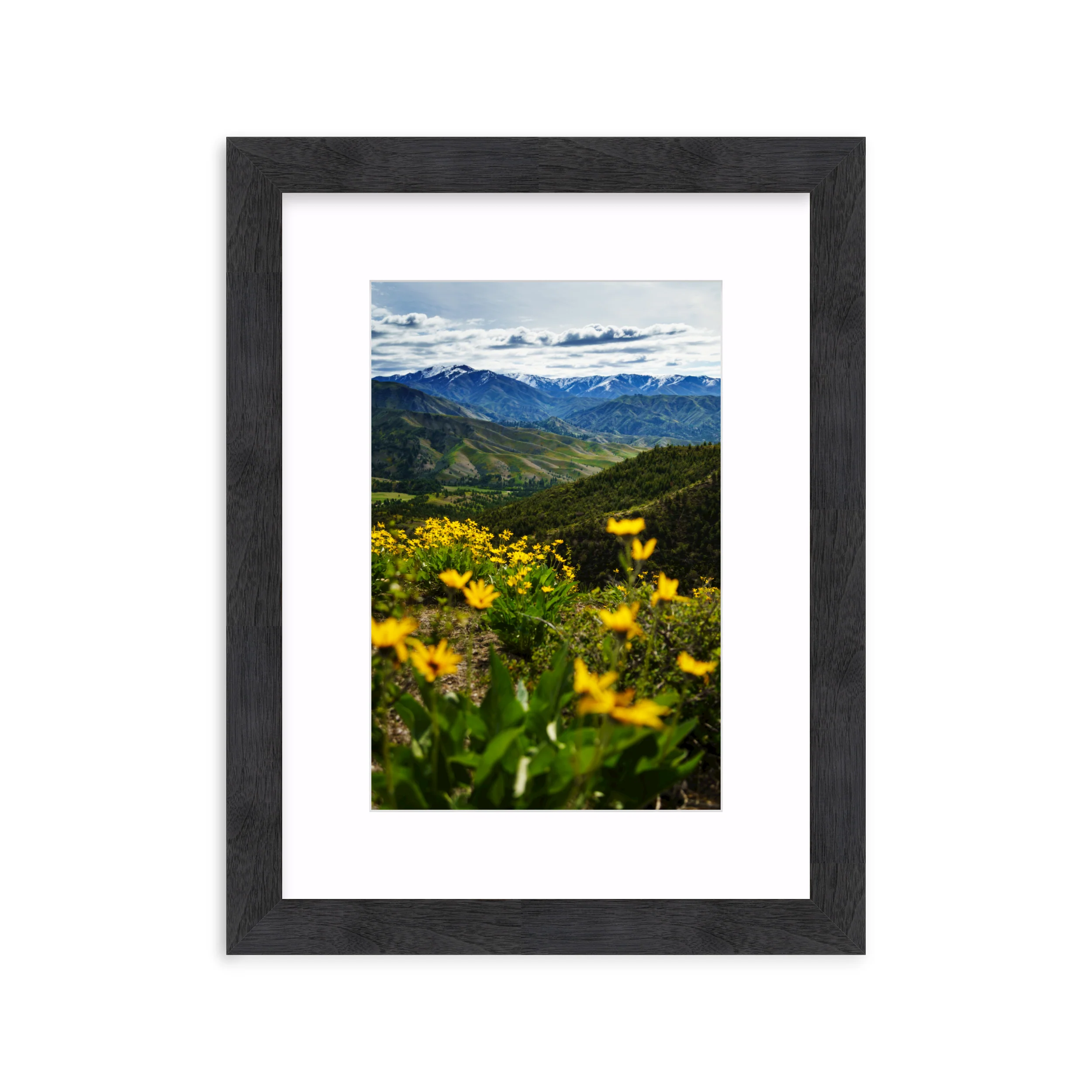 Trinity Mountains - Image 13