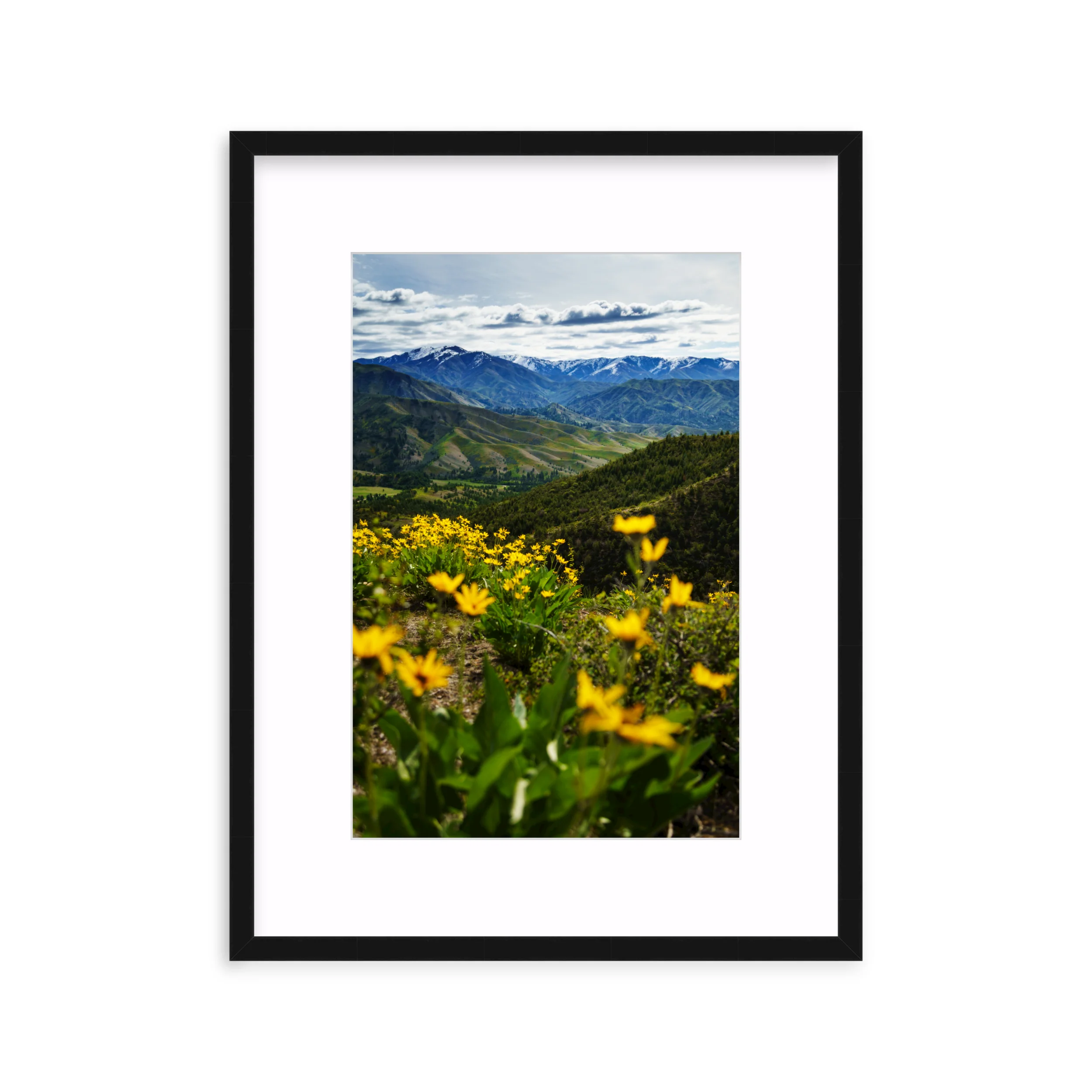 Trinity Mountains - Image 2