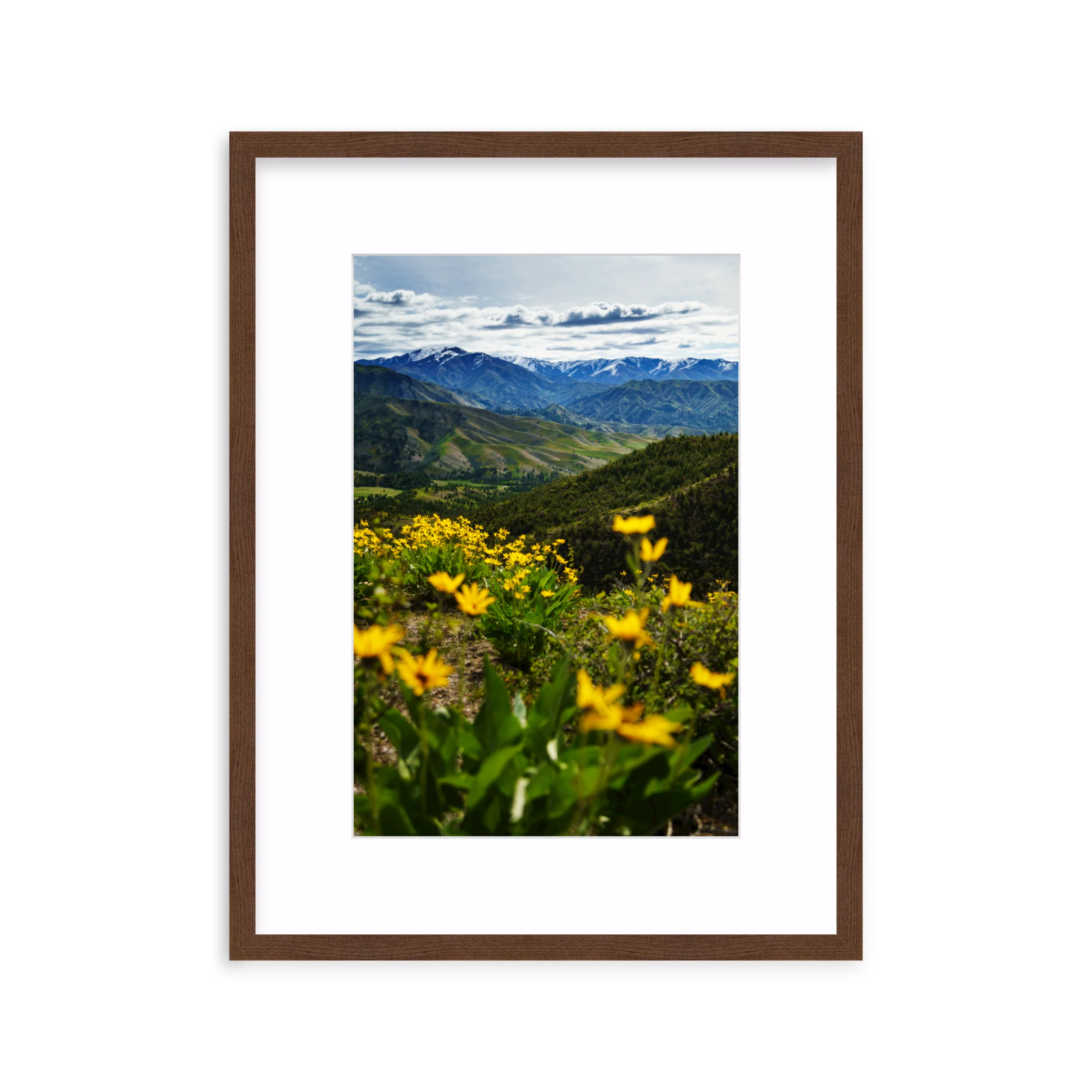 Trinity Mountains - Image 6